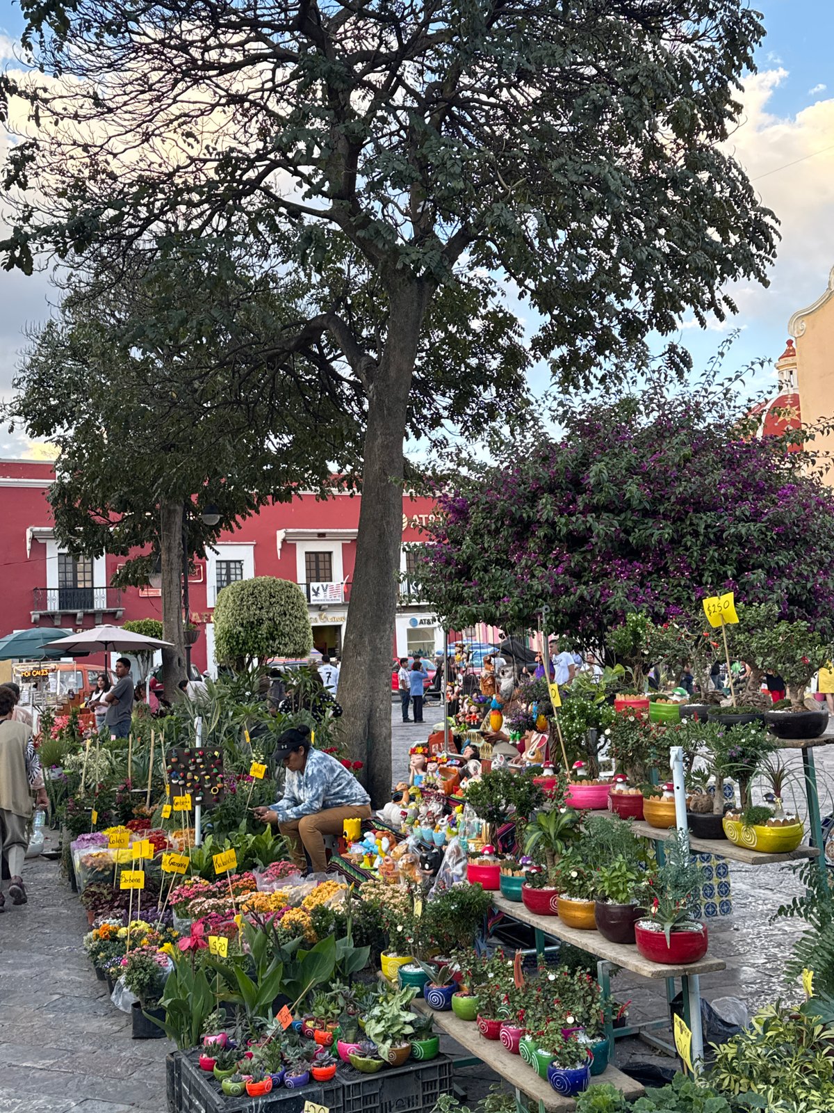 Street vendors sell plants, balloons in Atlixco market