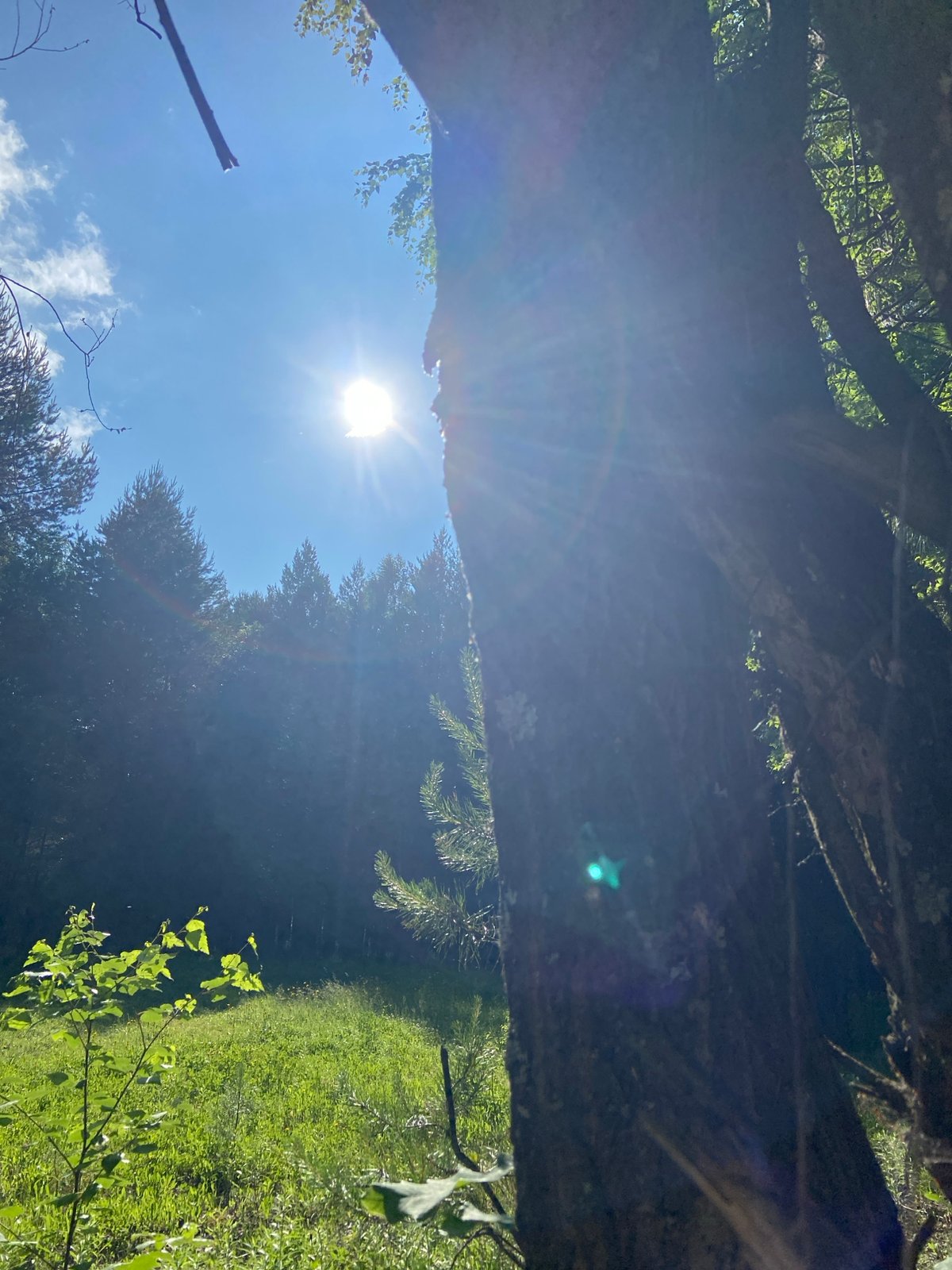 Cycling adventure with dog through Chaikovsky's forests and riverfront