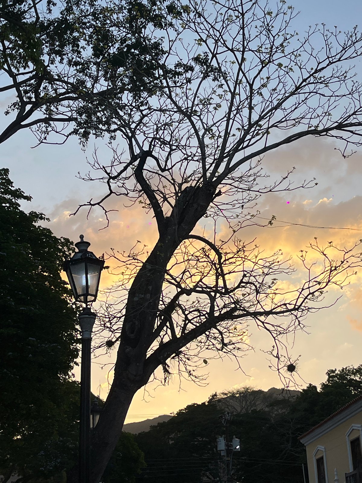 Community gathers in town square during sunset hours