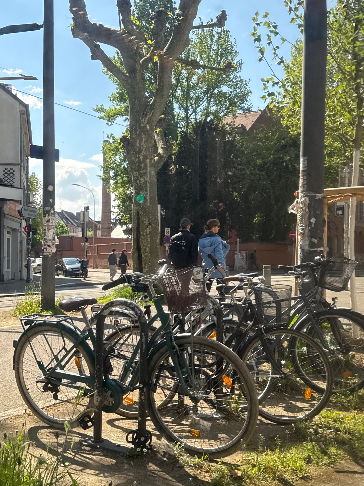 Bicycles parked on sunny Strasbourg street captured by witness