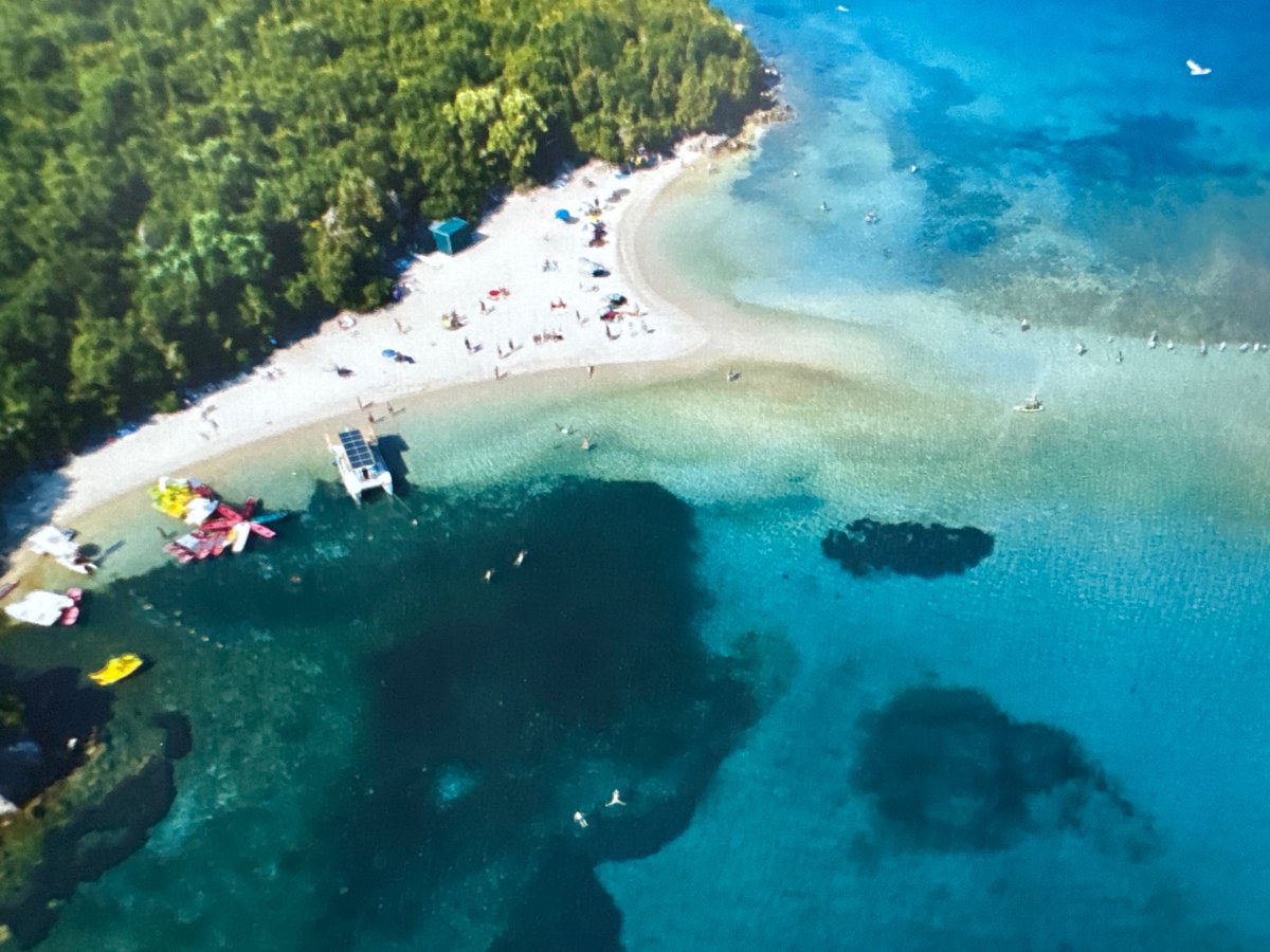 Diverse objects documented in Haskovo: beach scene, Tesla model, decorated skull