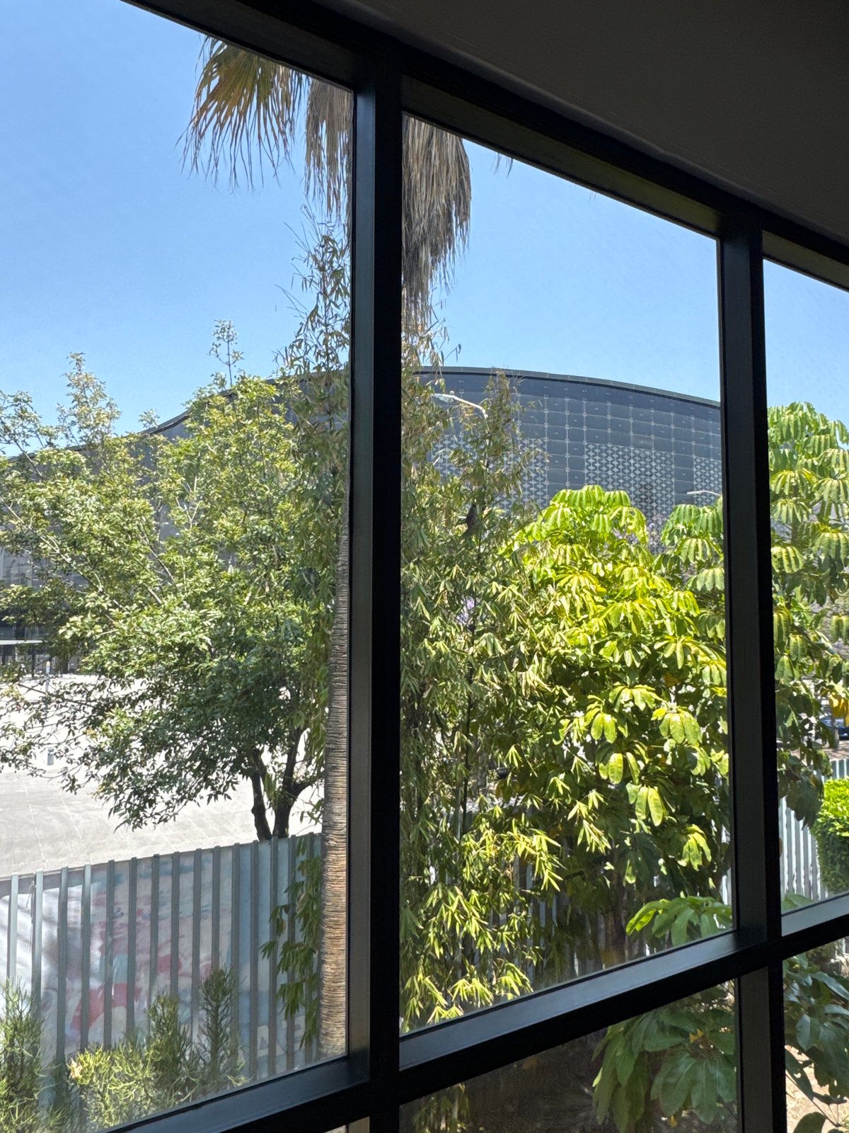 Jacaranda trees bloom along Puebla street near pedestrian bridge