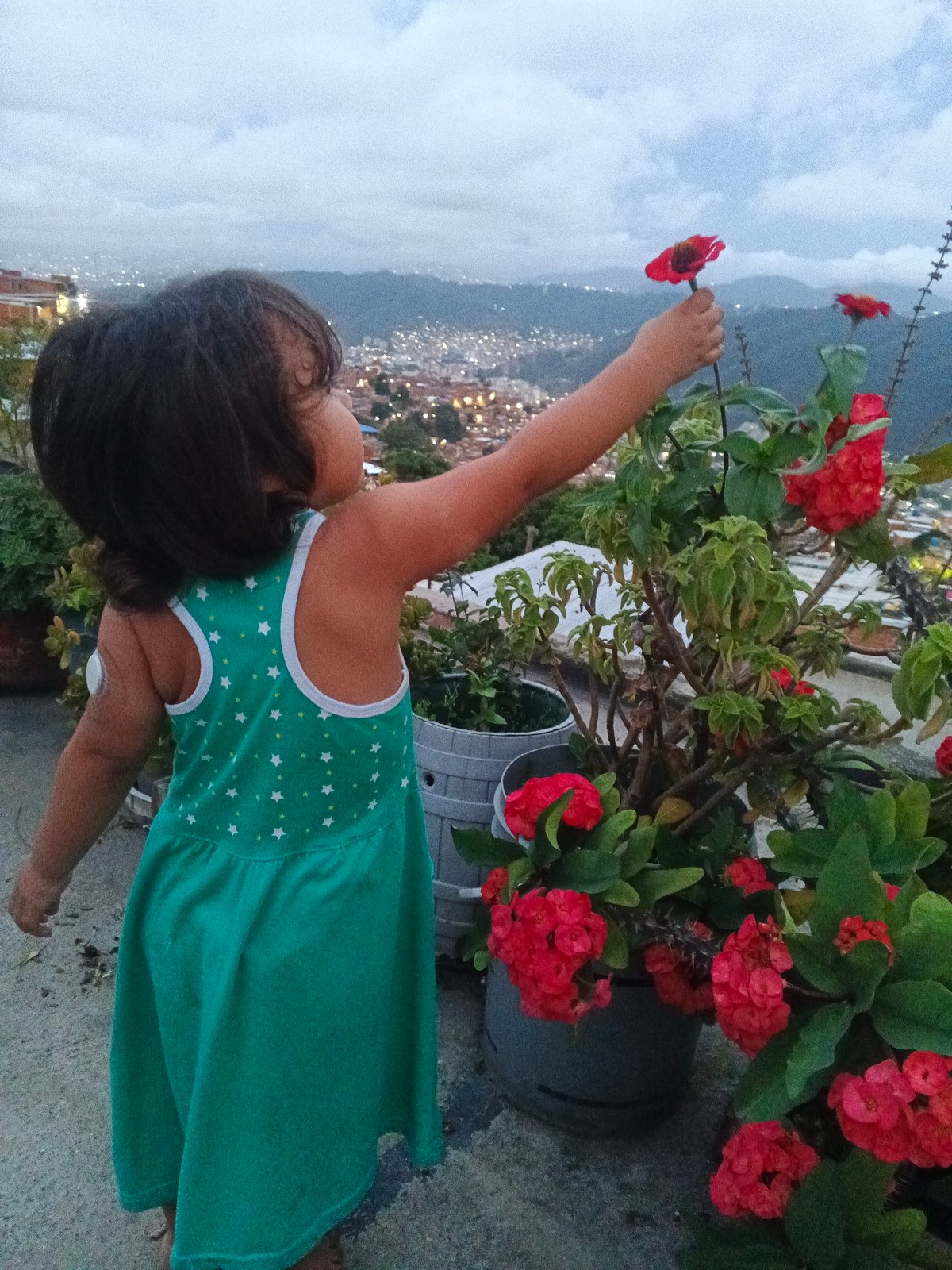 Rooftop evening in a Caracas barrio at dusk