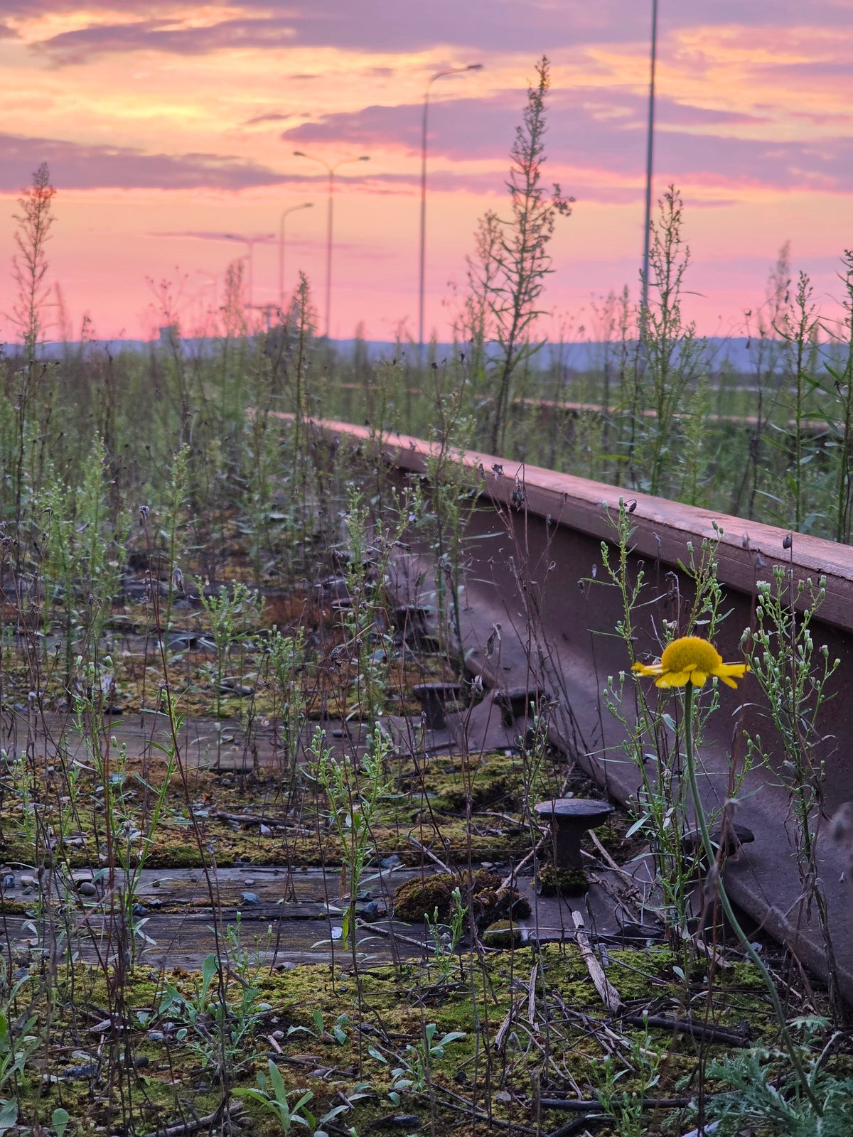 Dusk at abandoned tracks on the Kama River's edge, Chaikovsky