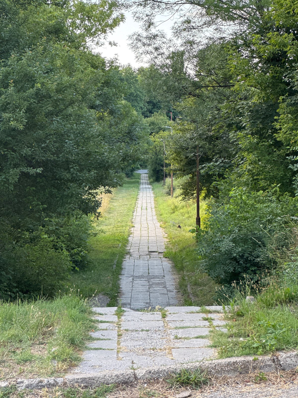 Pernik's abandoned landmarks, riverside paths, and stray cats