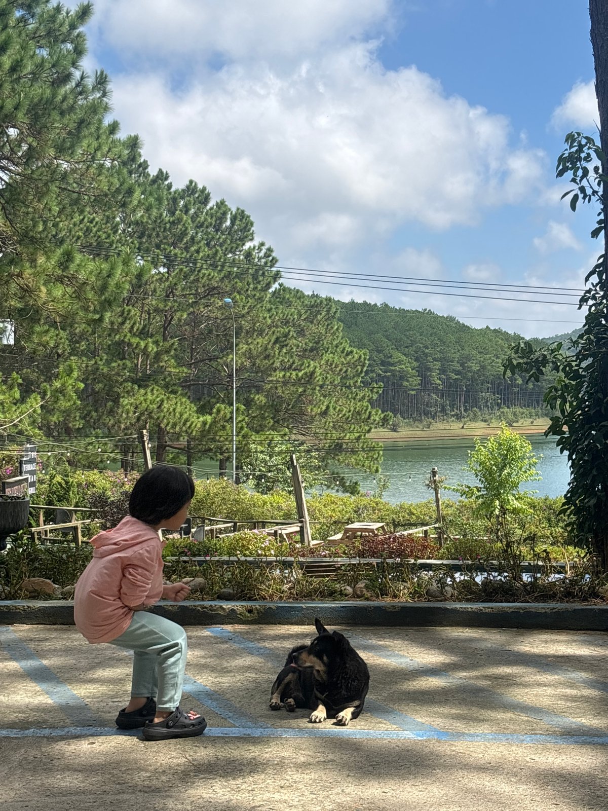 Quiet morning at a Da Lat retreat among pines and garden statues