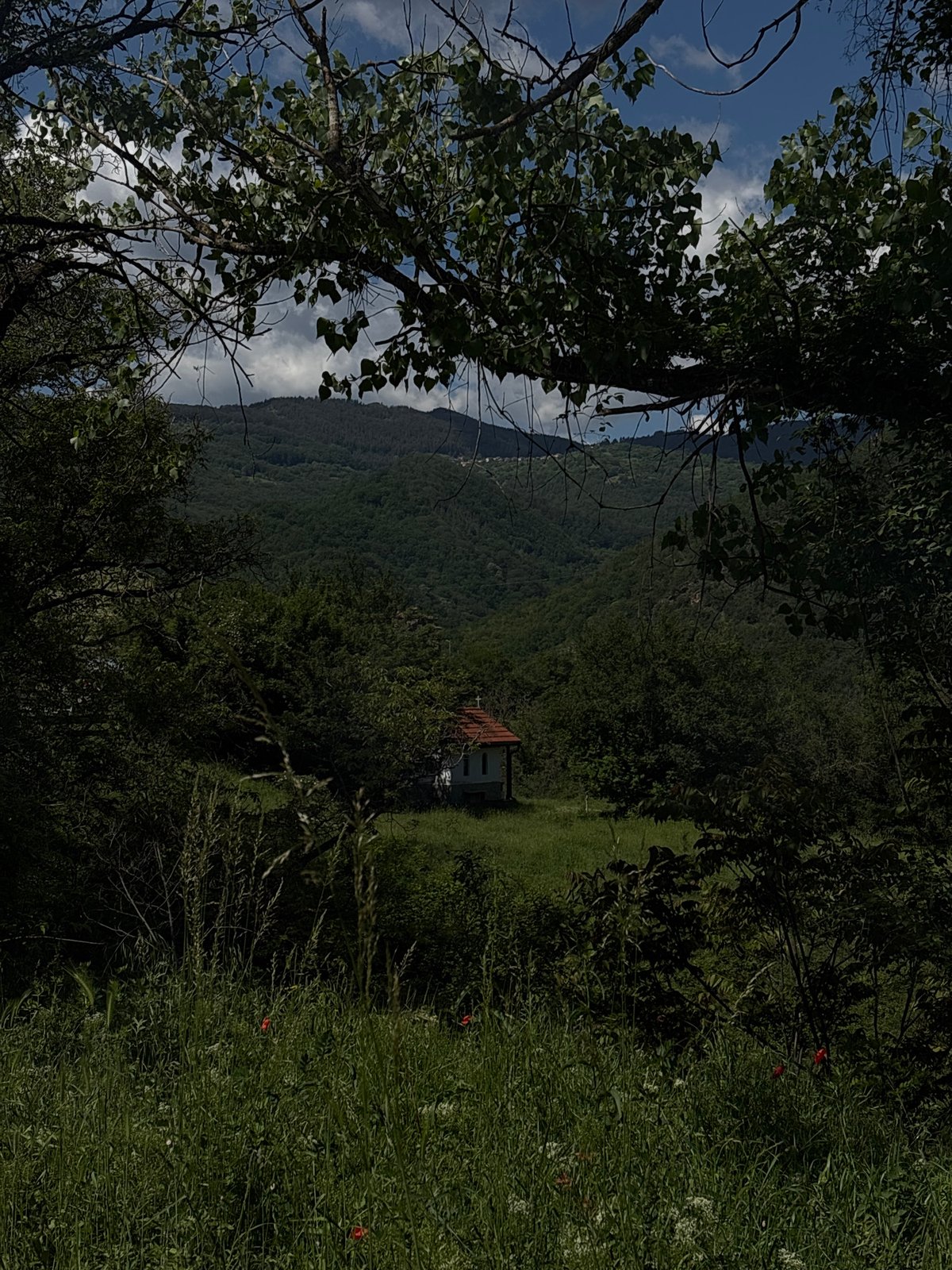Witness documents mountain landscape views over 52-minute span