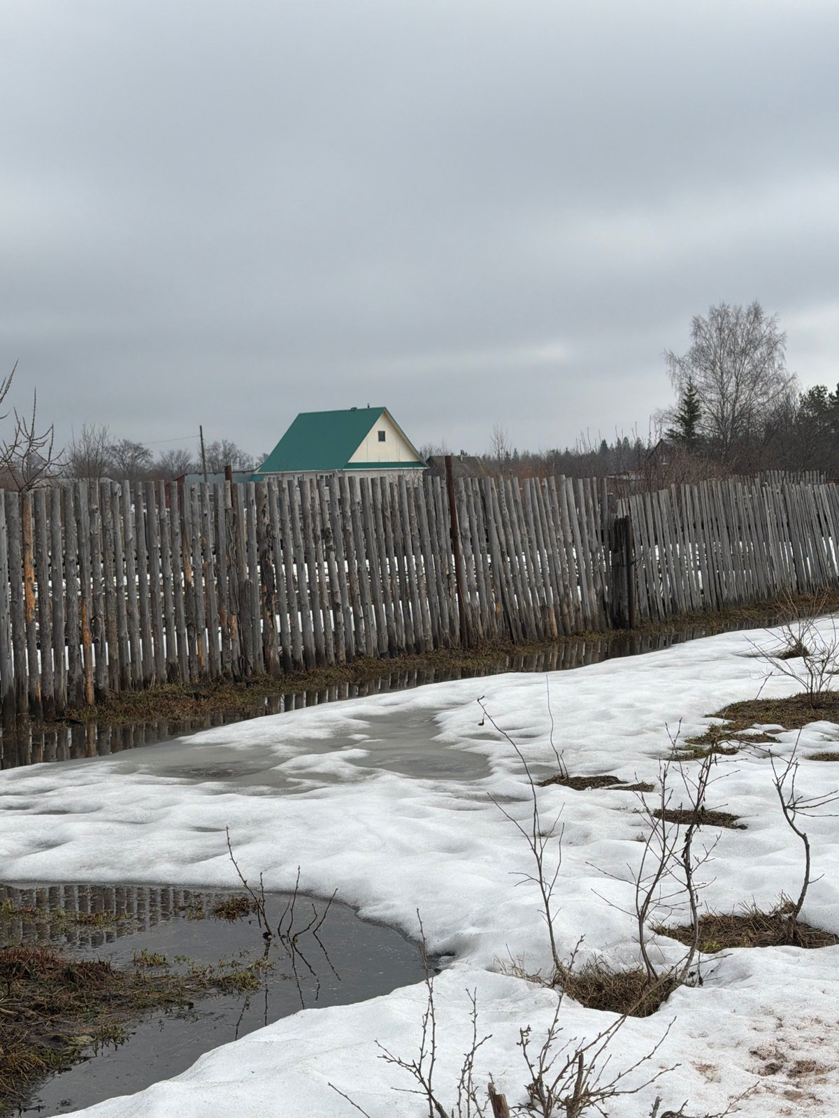 Rural winter scene documented in Igra, Russia features chained dog