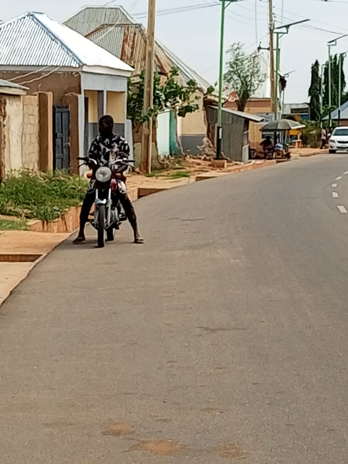 Everyday street life in a quiet residential neighborhood