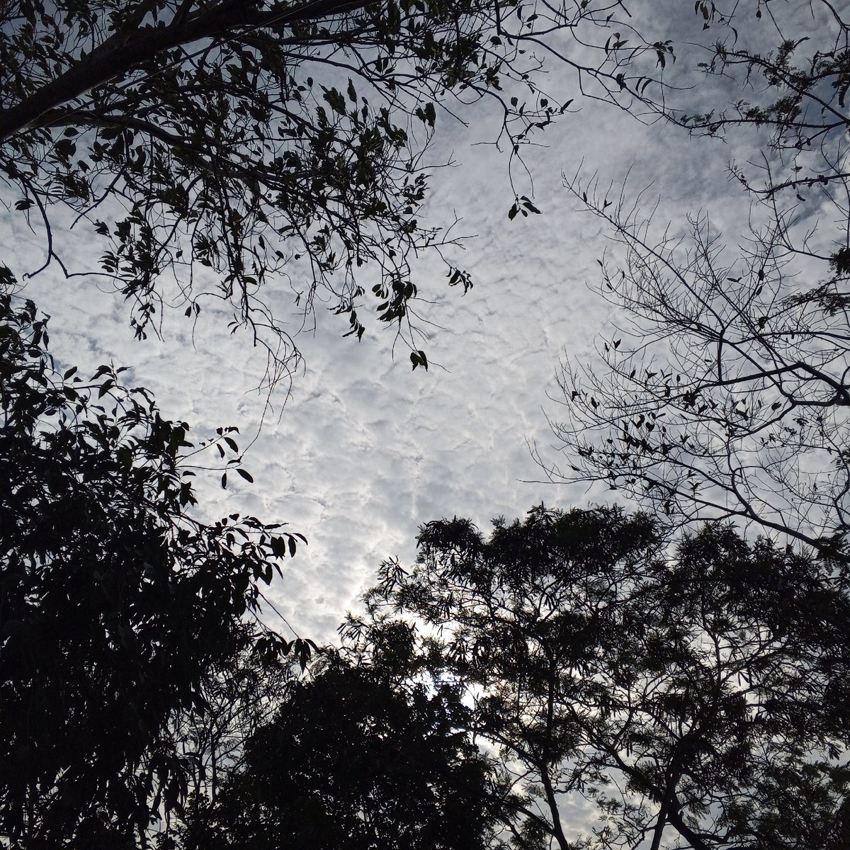 Overcast skies with sun breaking through clouds documented