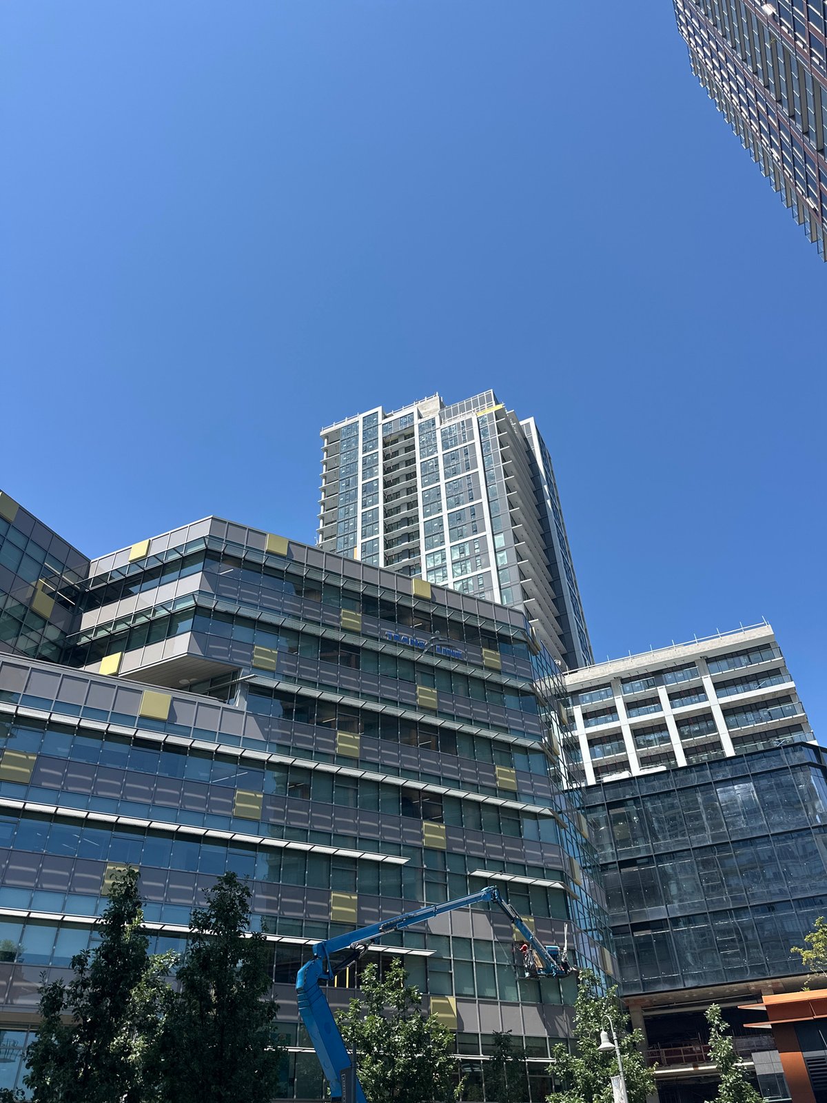Window cleaners and transit infrastructure in New Westminster's urban core