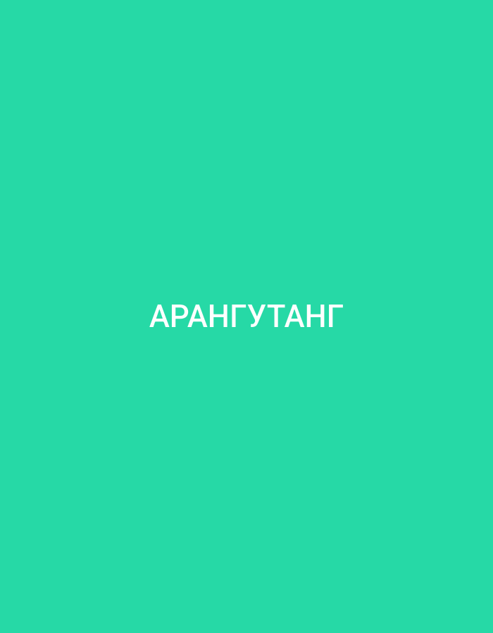 Cyrillic flashcard title cards covering animals, foods, and Korean cities
