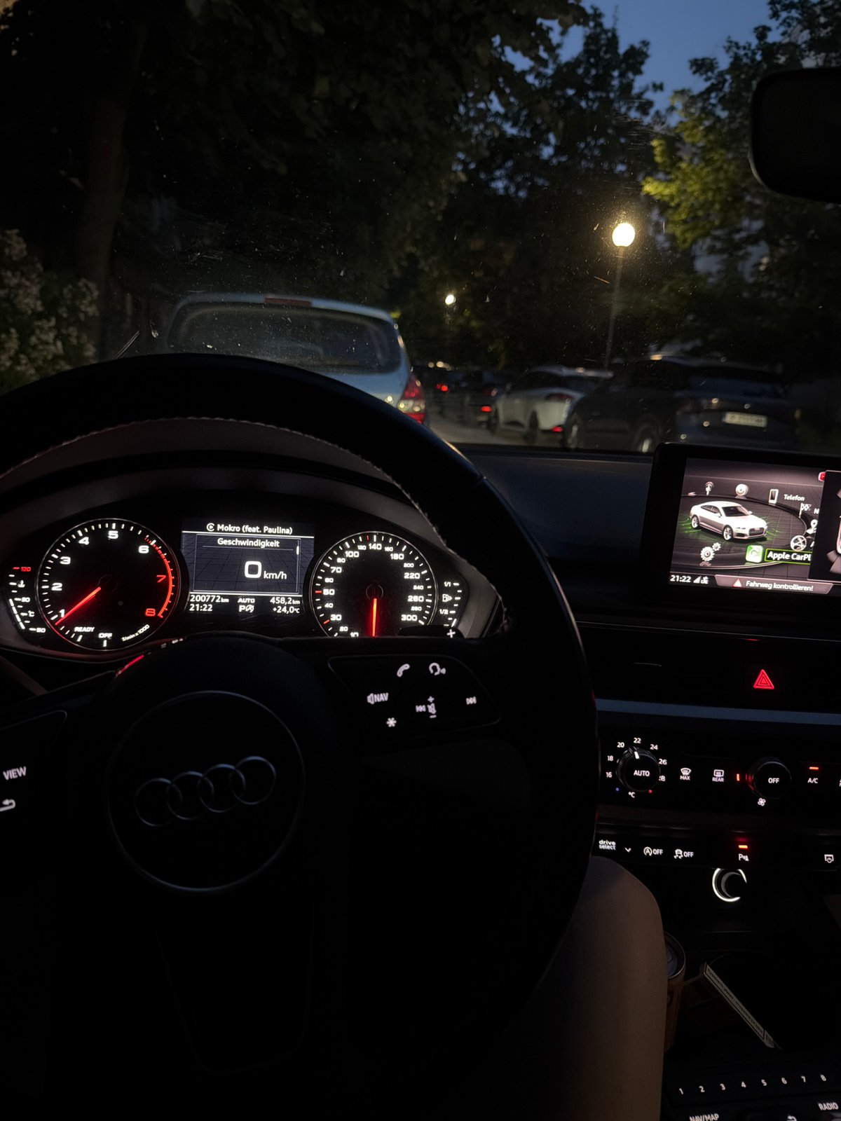 Evening car interior moments captured with French Bulldog in Ruse