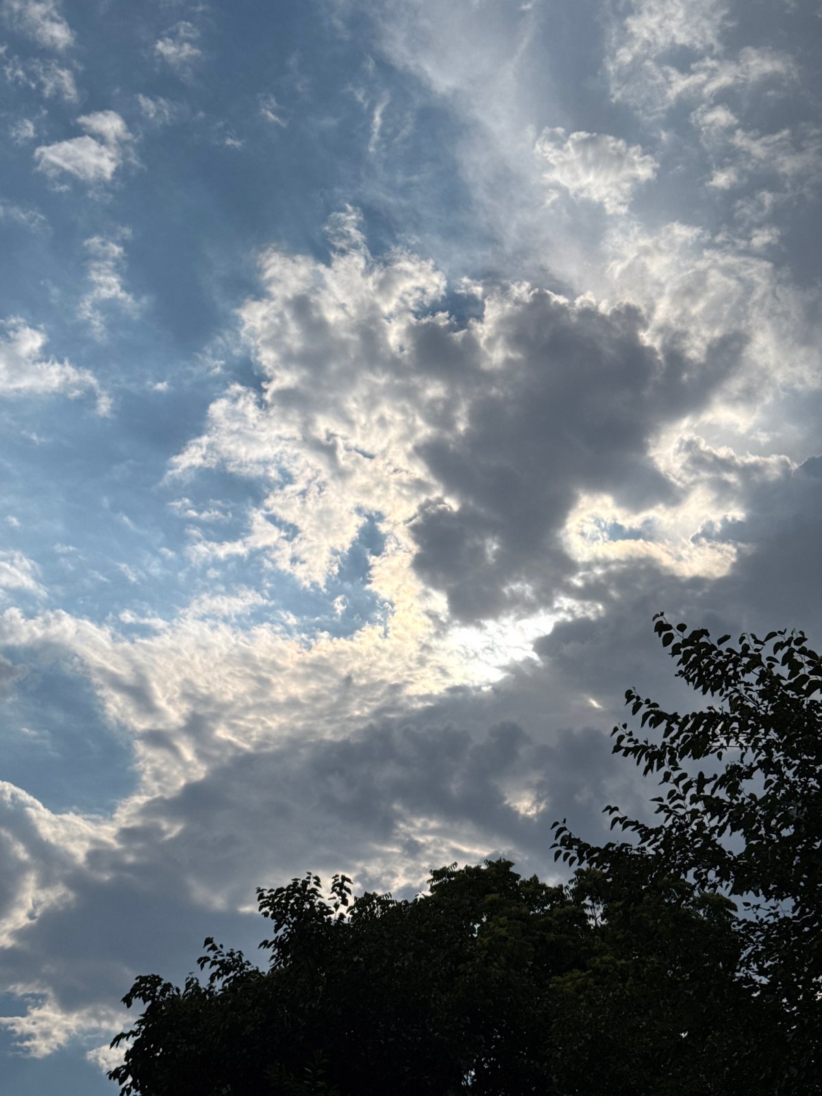 Partly cloudy sky breaks over treetops in Plovdiv
