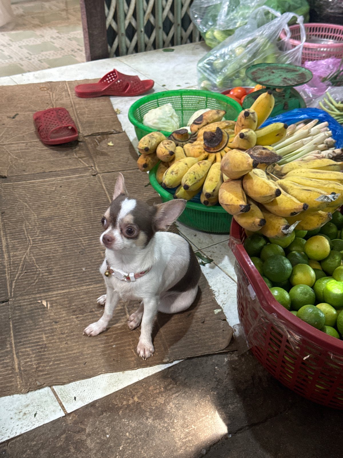 Morning market hustle at a Mũi Né street produce market