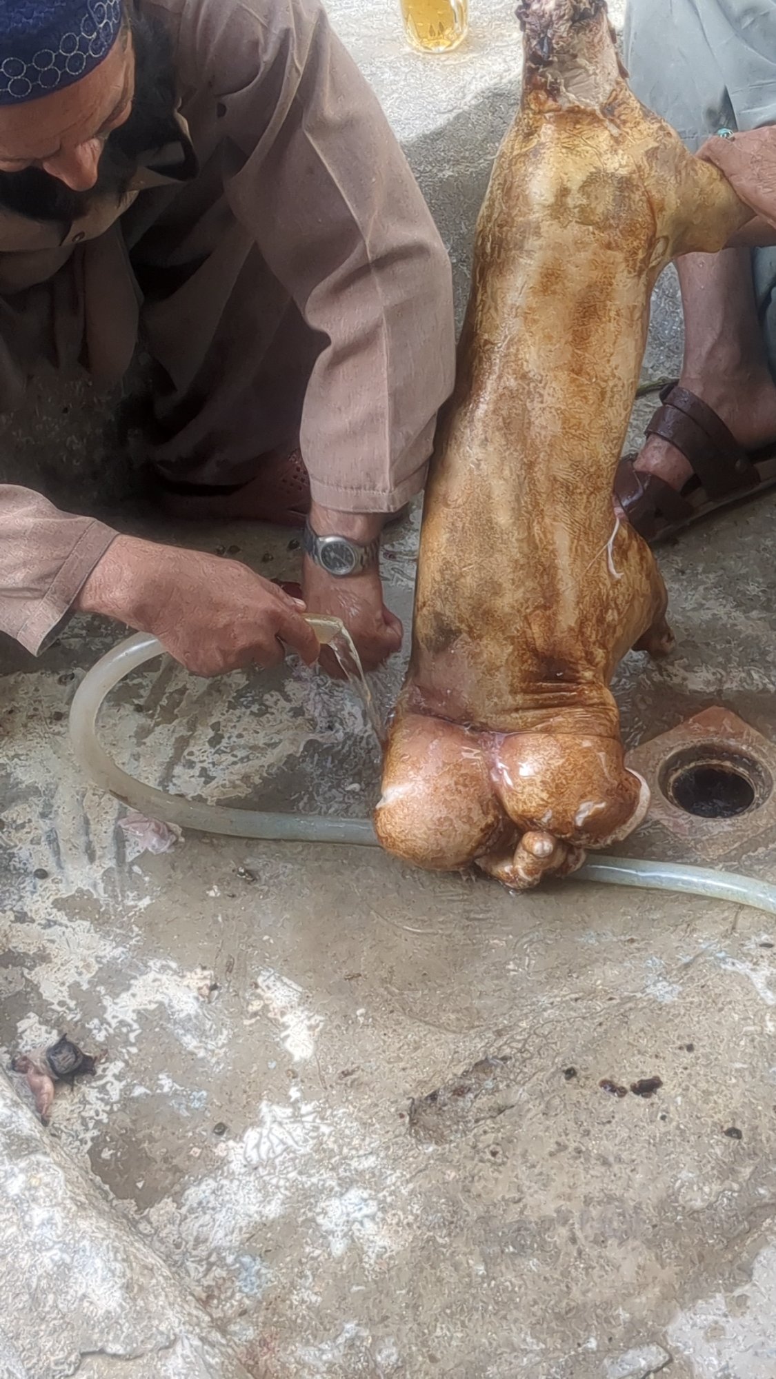 Men butcher, clean livestock carcass in Quetta, Pakistan