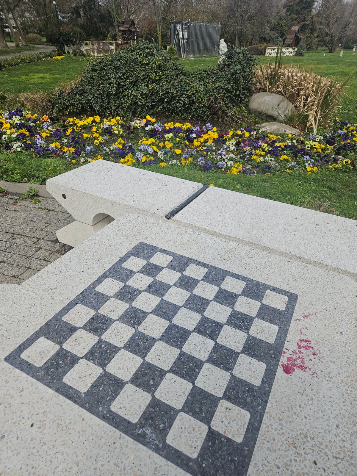 Morning walk through Burgas park captures spring blooms