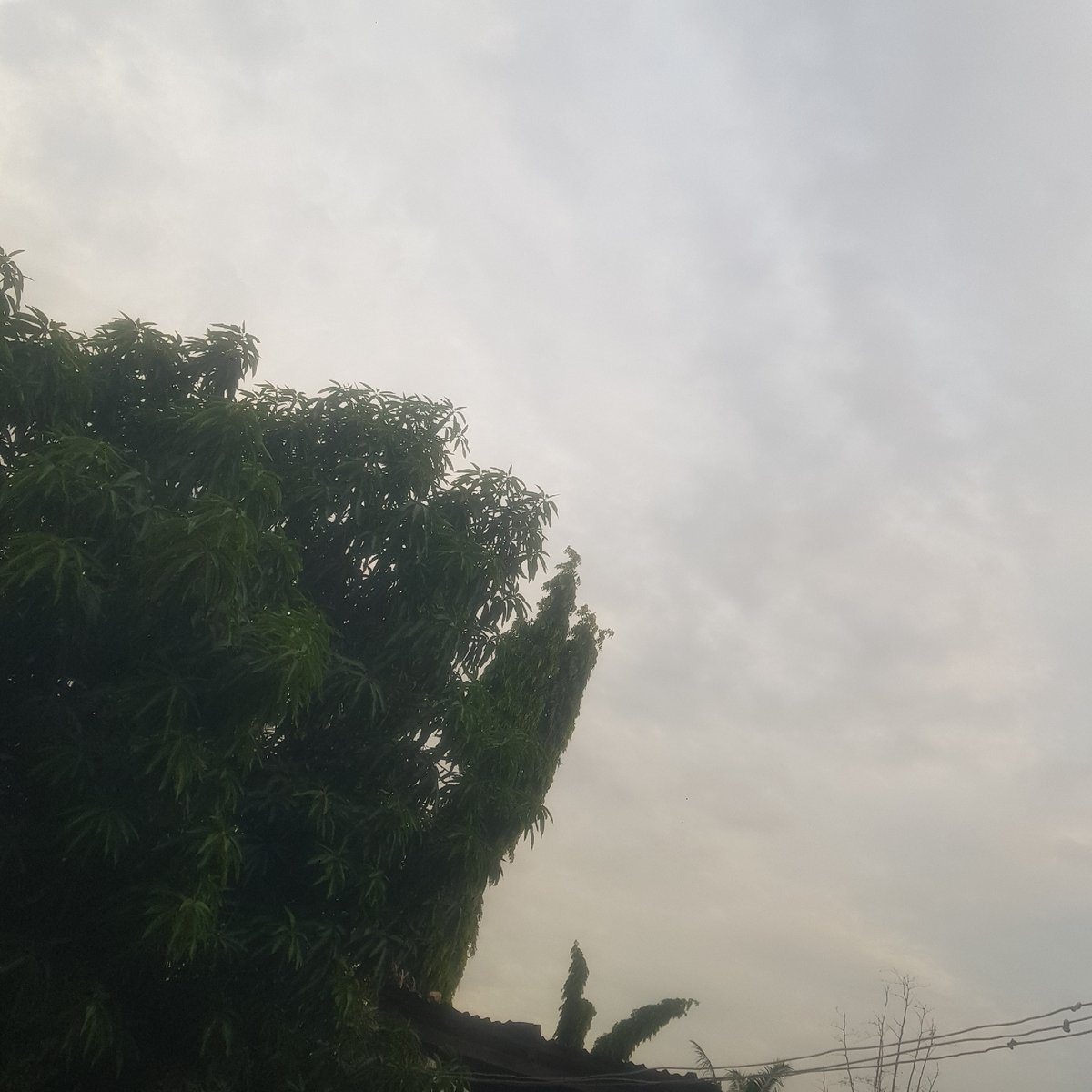 Overcast skies, tiled outdoor space, and a plugged-in outlet