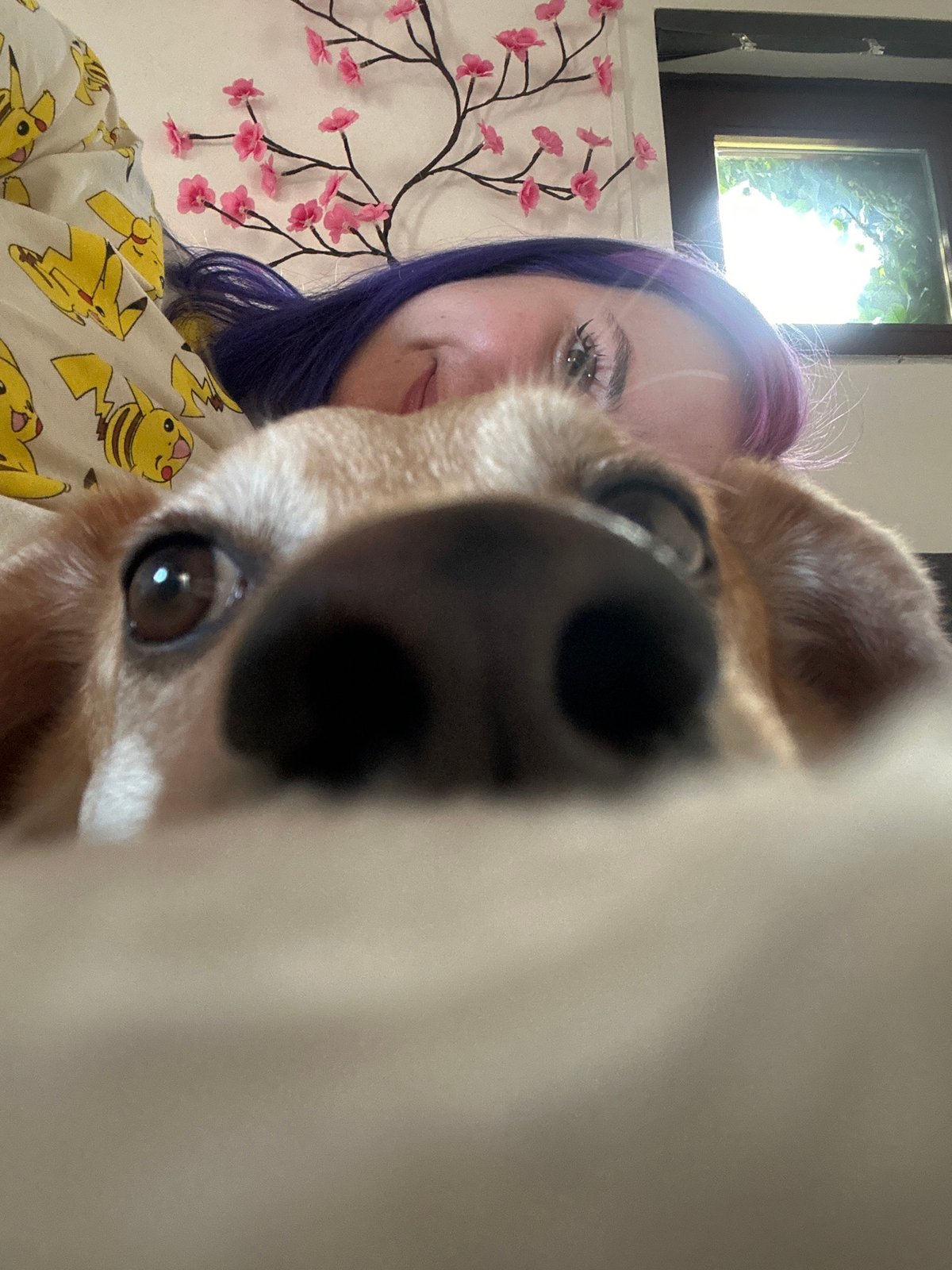 Person and dog take selfies together in Zagreb