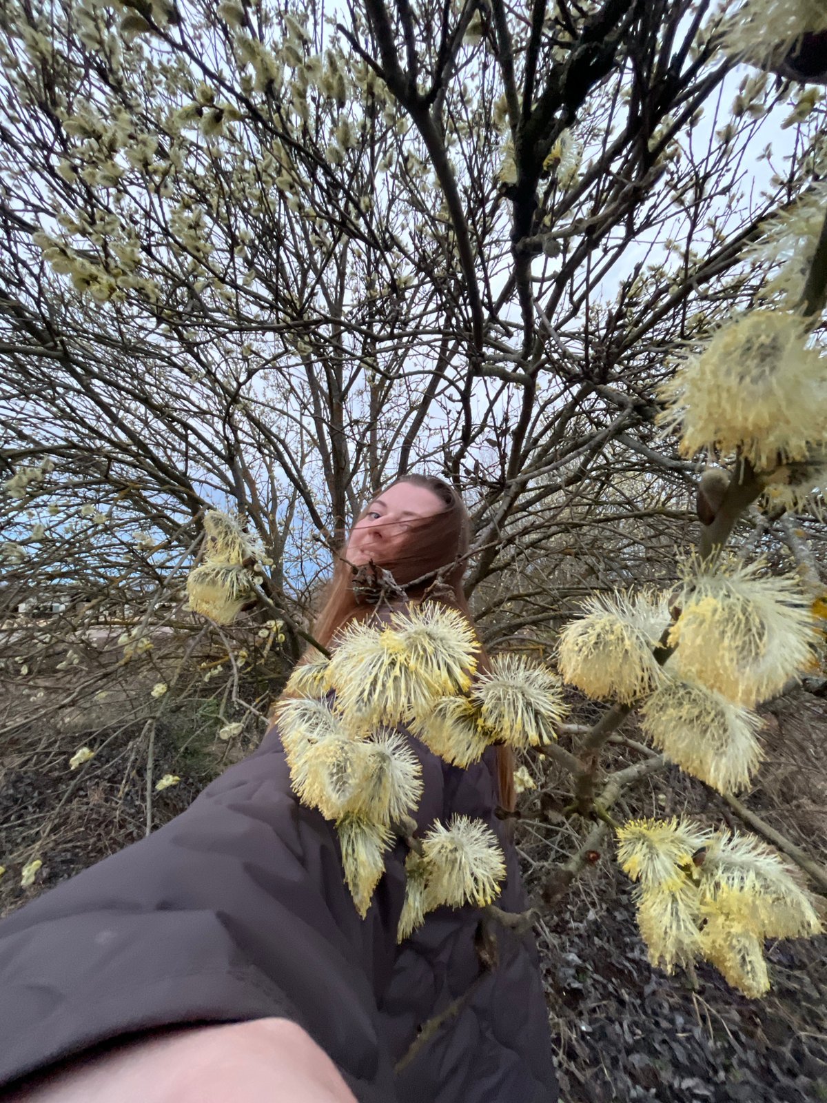 Woman photographs spring blooms in Razdol'e, Russia