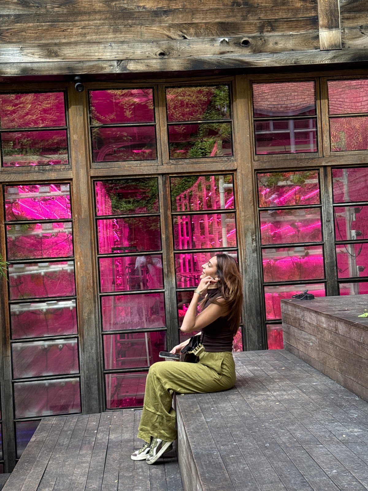 Early morning scenes captured around vine-covered Tbilisi courtyard