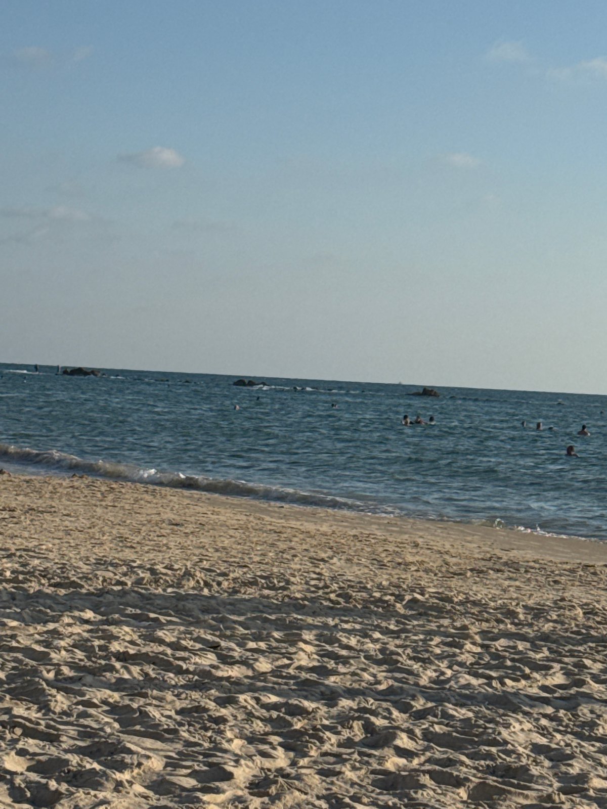 Afternoon at the beach: sand, sea creatures, and lounging