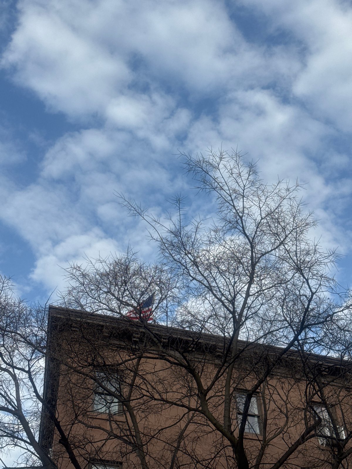 NYC residents capture pigeons, lunch, and street scenes