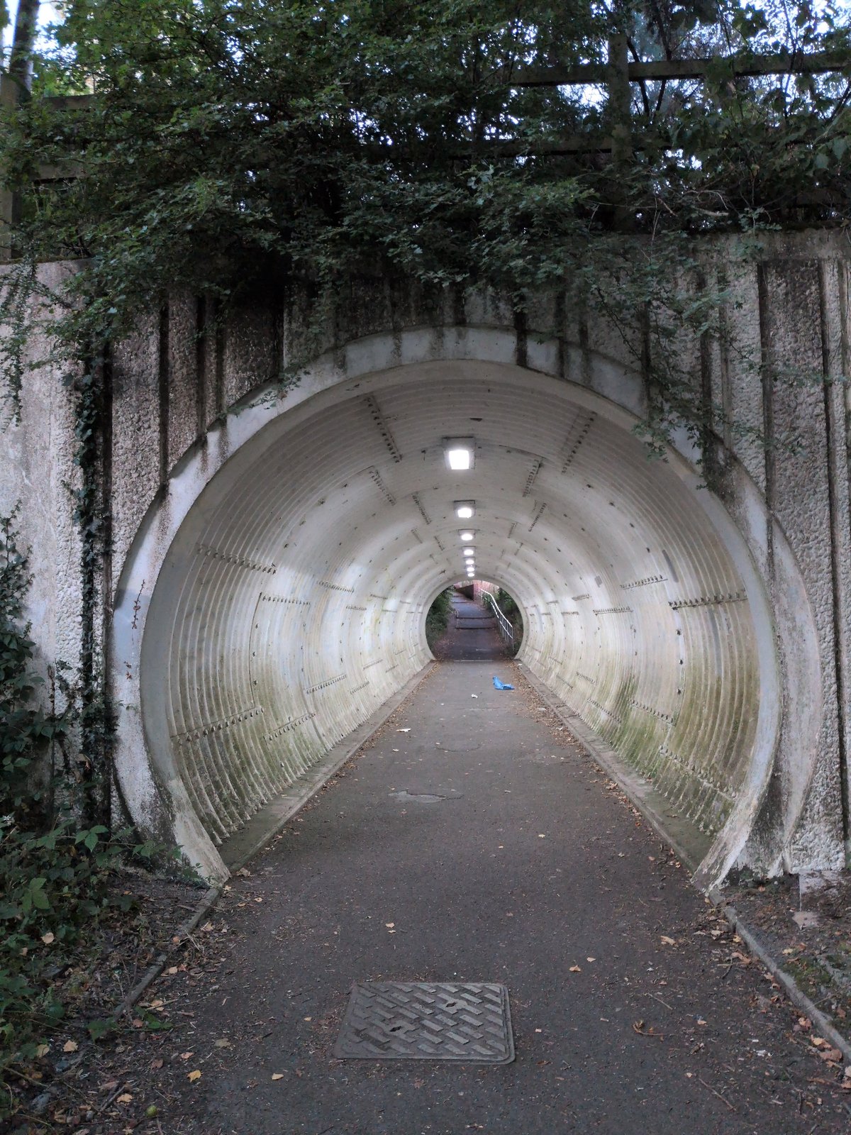 New builds, tunnels, and twilight paths around Dawley and Telford