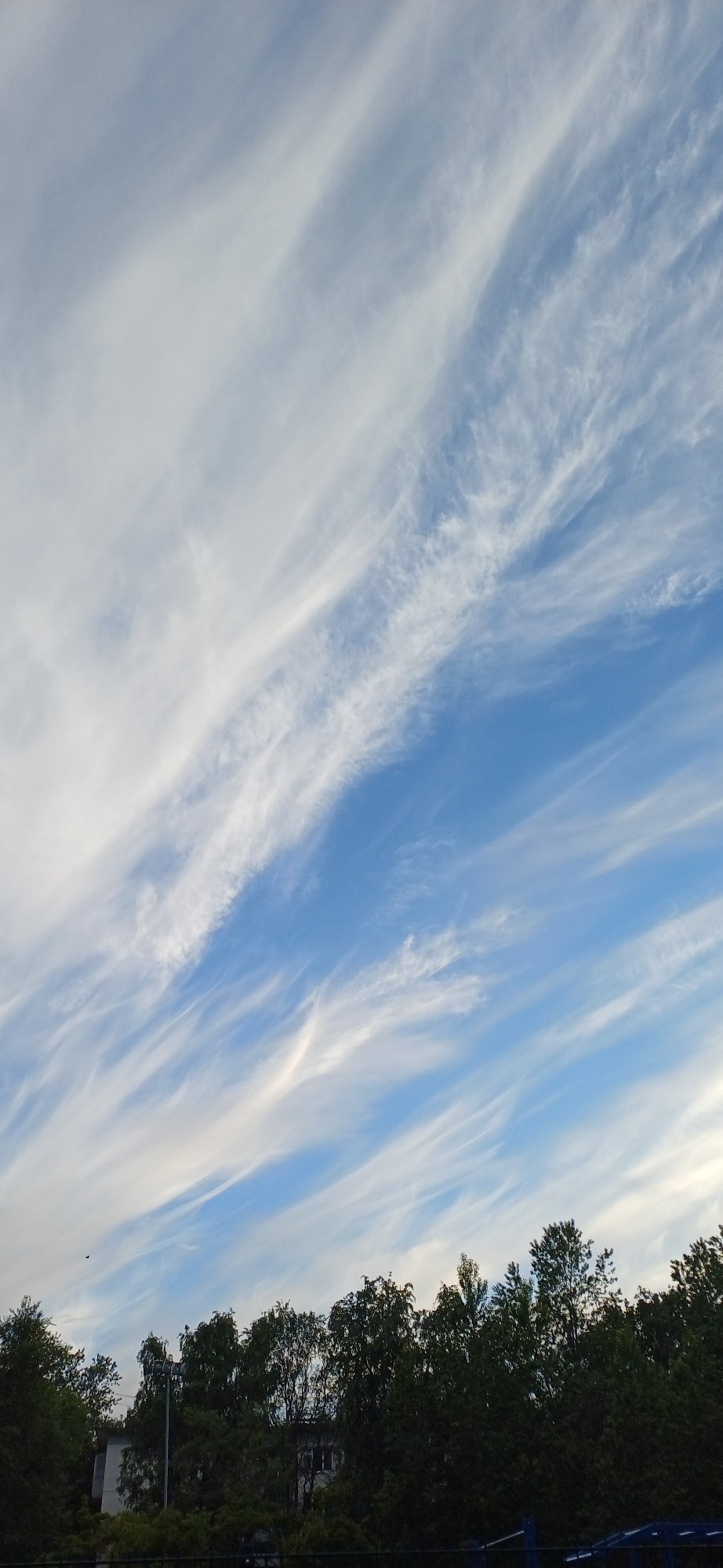 Wispy cirrus clouds streak across Saint Petersburg sky