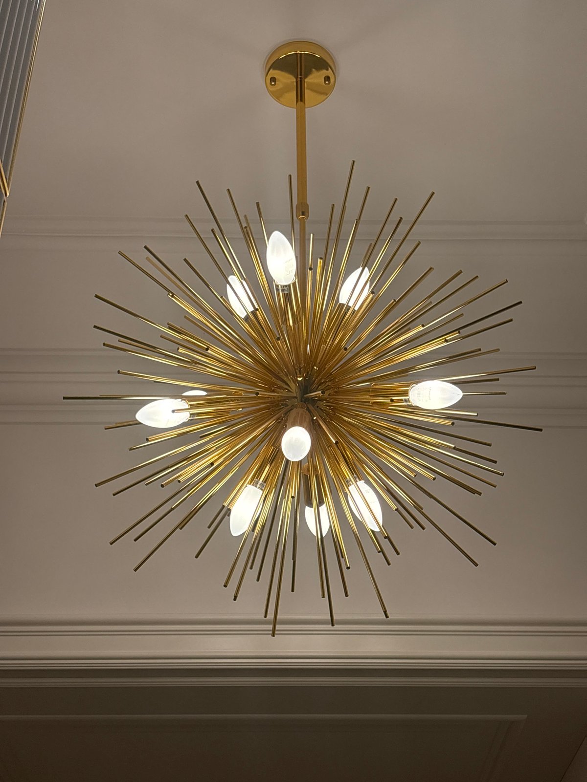 Moscow interior features gold fixtures and resting Siamese cat