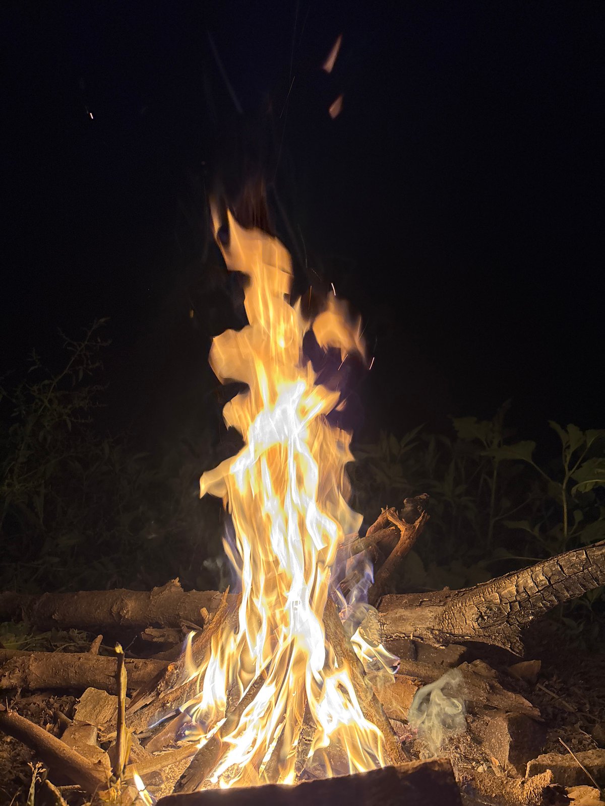 Late-night campfire gathering in rural Alamovtsi, Bulgaria