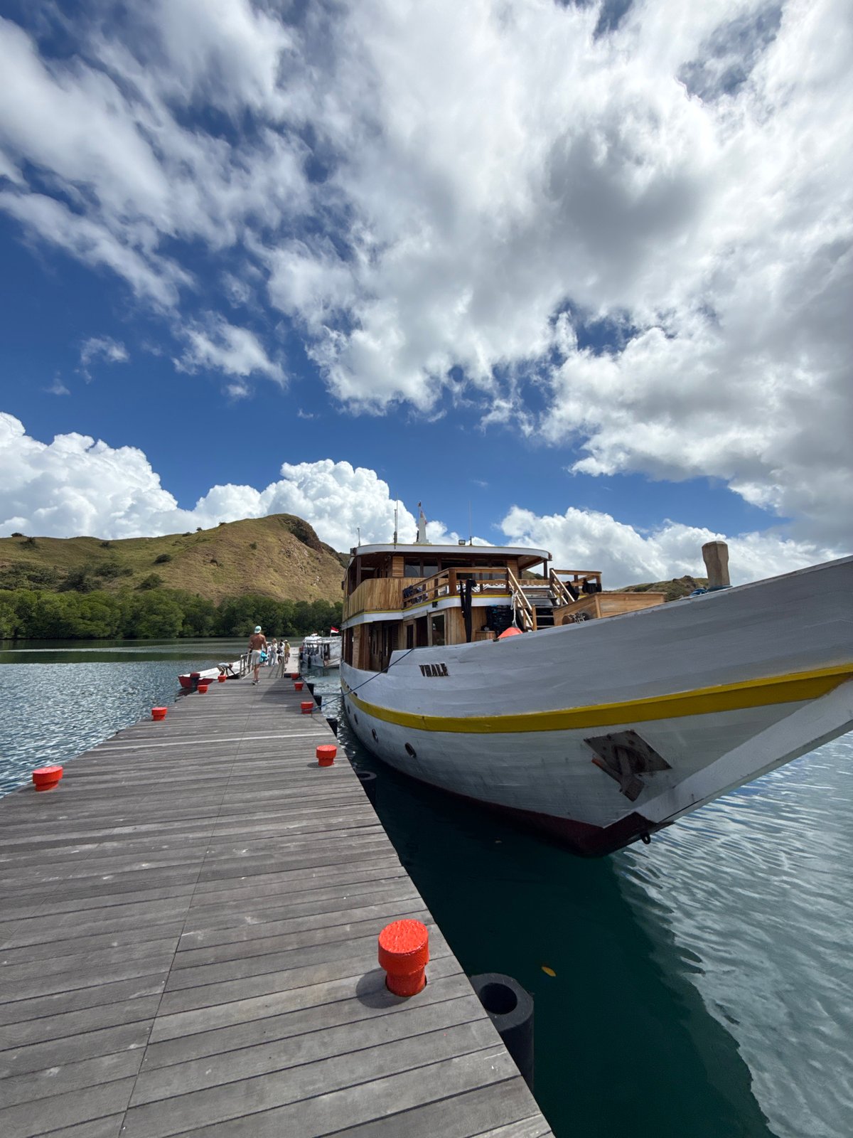 Tourist visits Indonesian wildlife facility featuring Komodo dragons and monkeys