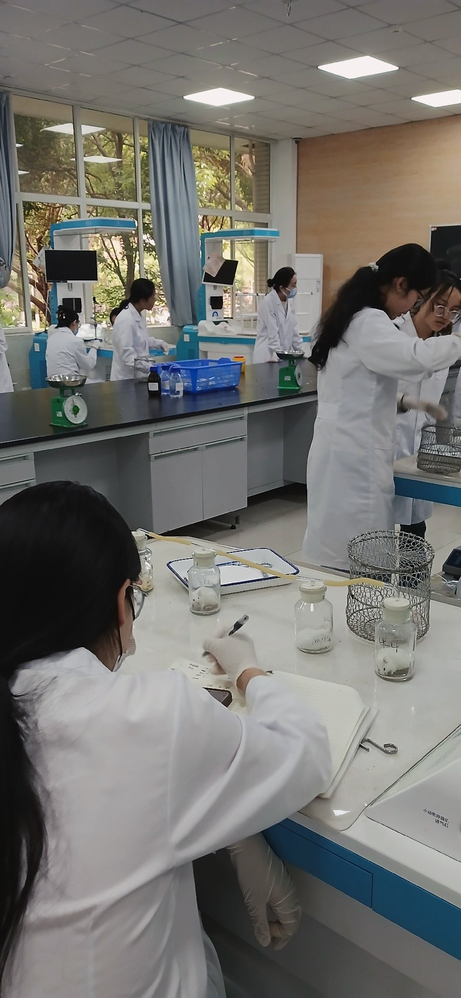Research facility conducts lab work and lectures in Chongqing