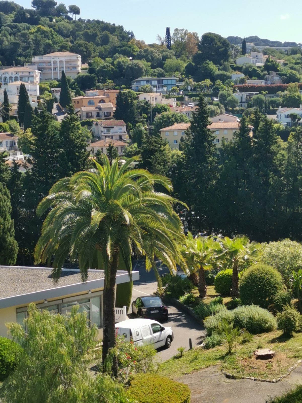Sunny morning captured in hillside residential district