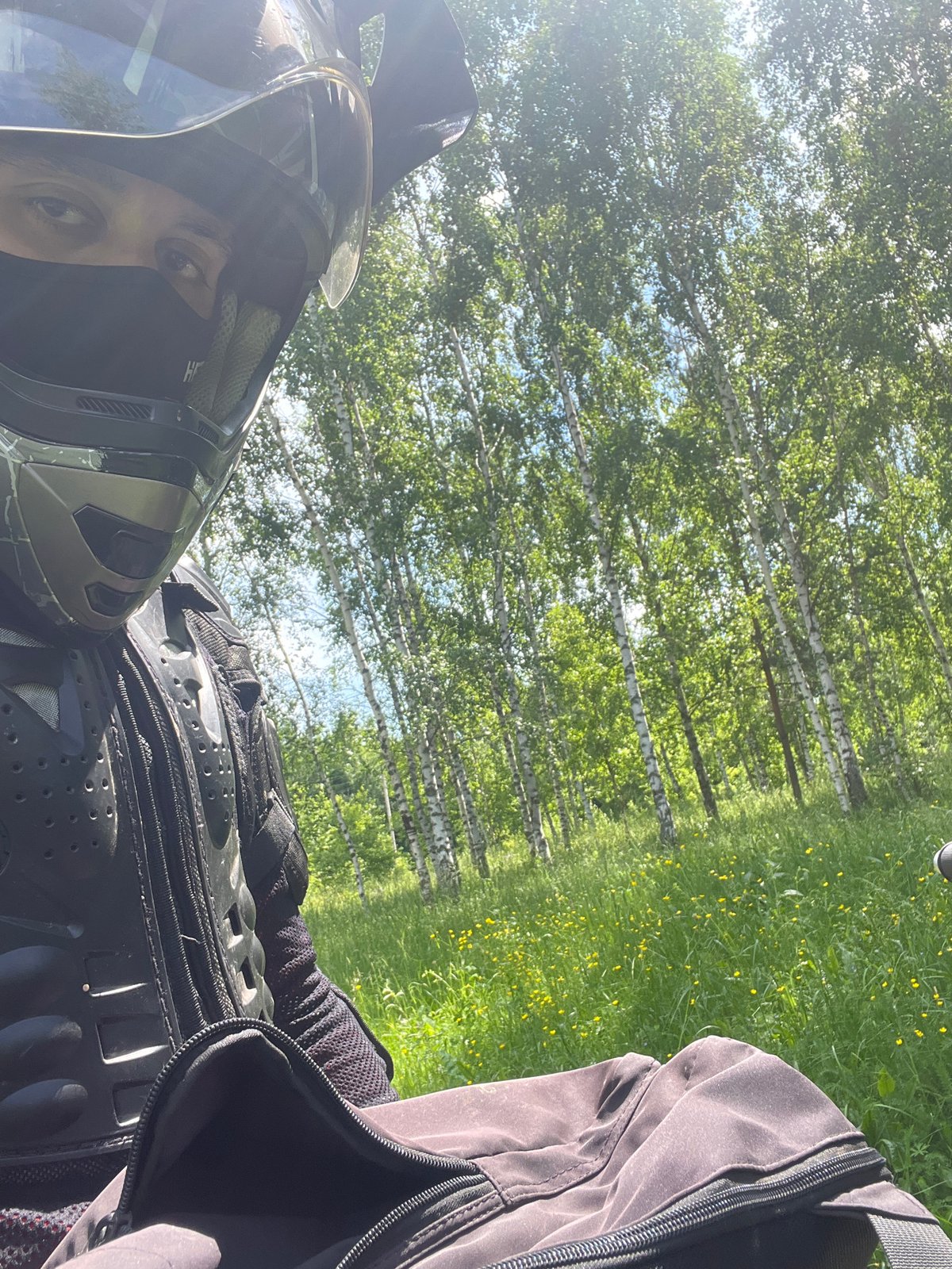 Motorcyclist rides through lupine meadow near Vasilyevo, Russia