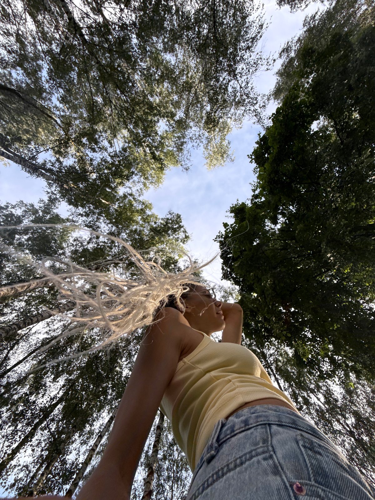 Low-angle forest portraits shot from below the tree line.
