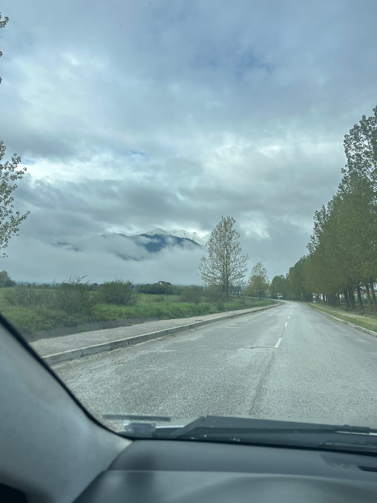Morning drive captured on tree-lined road in Razlog, Bulgaria