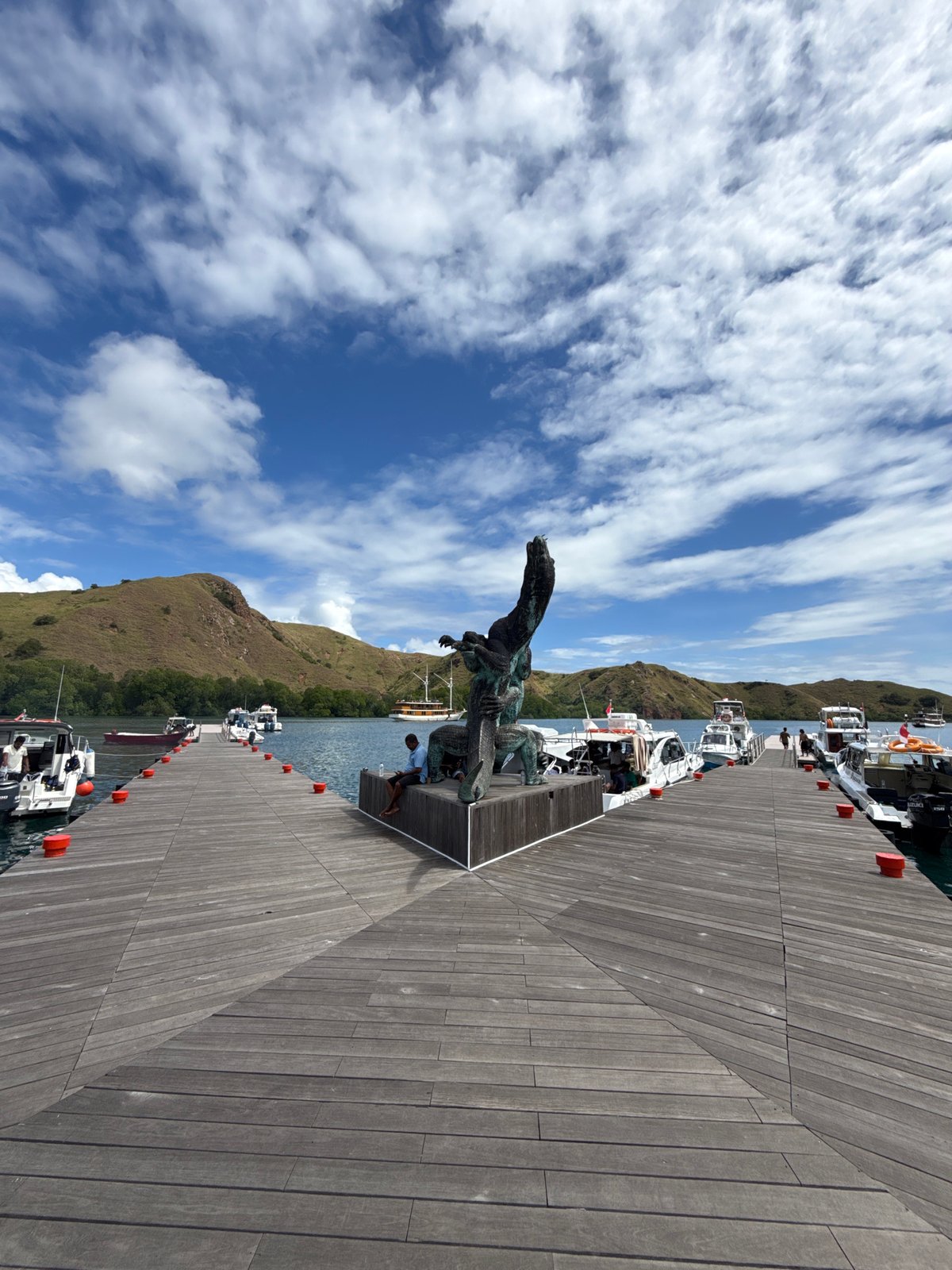 Bronze statue spotted at Labuan Bajo marina, Indonesia