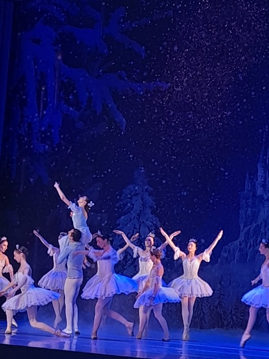 Ballet performance with starry backdrop staged in Yerevan