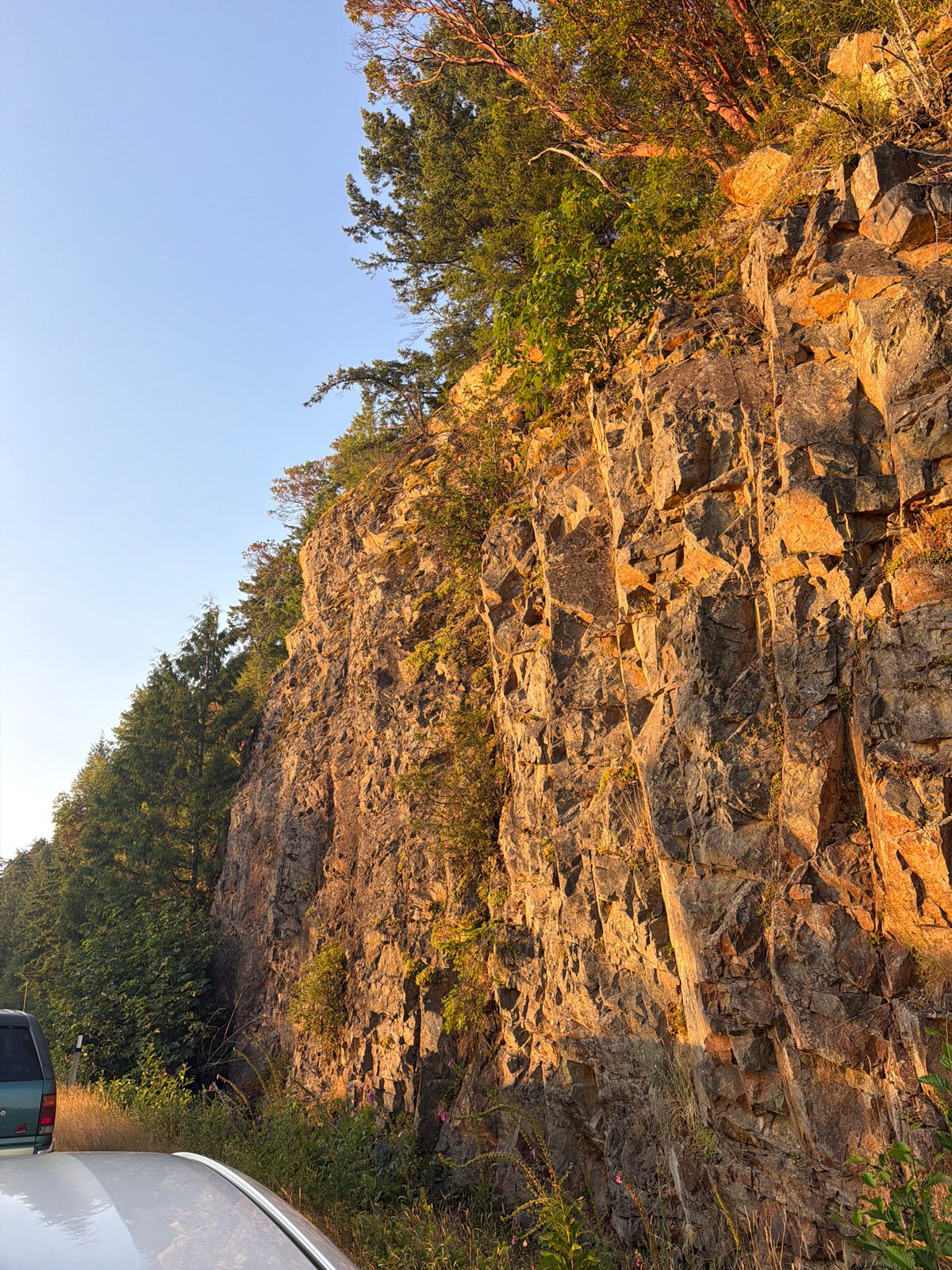 Sunlit cliff face with reddish-barked trees, Elaho/Garibaldi BC