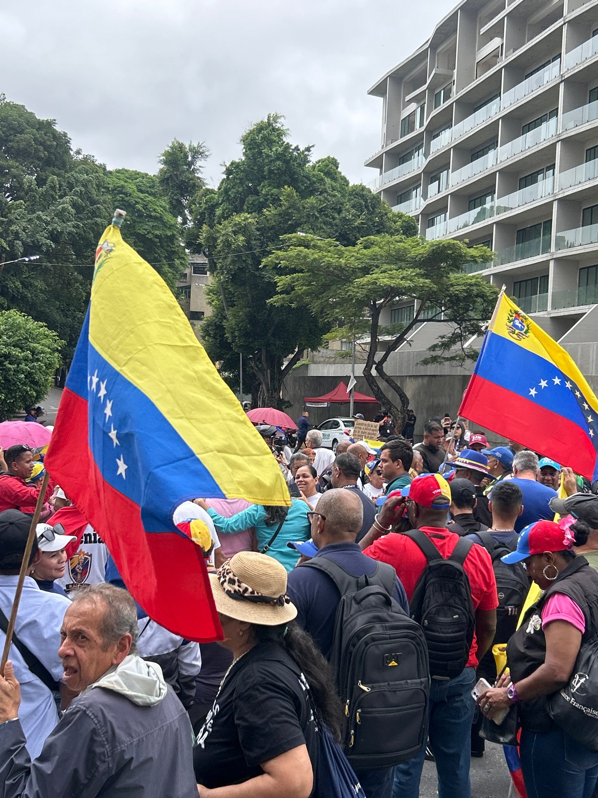 Large flag-waving demonstration fills Caracas streets amid overcast skies
