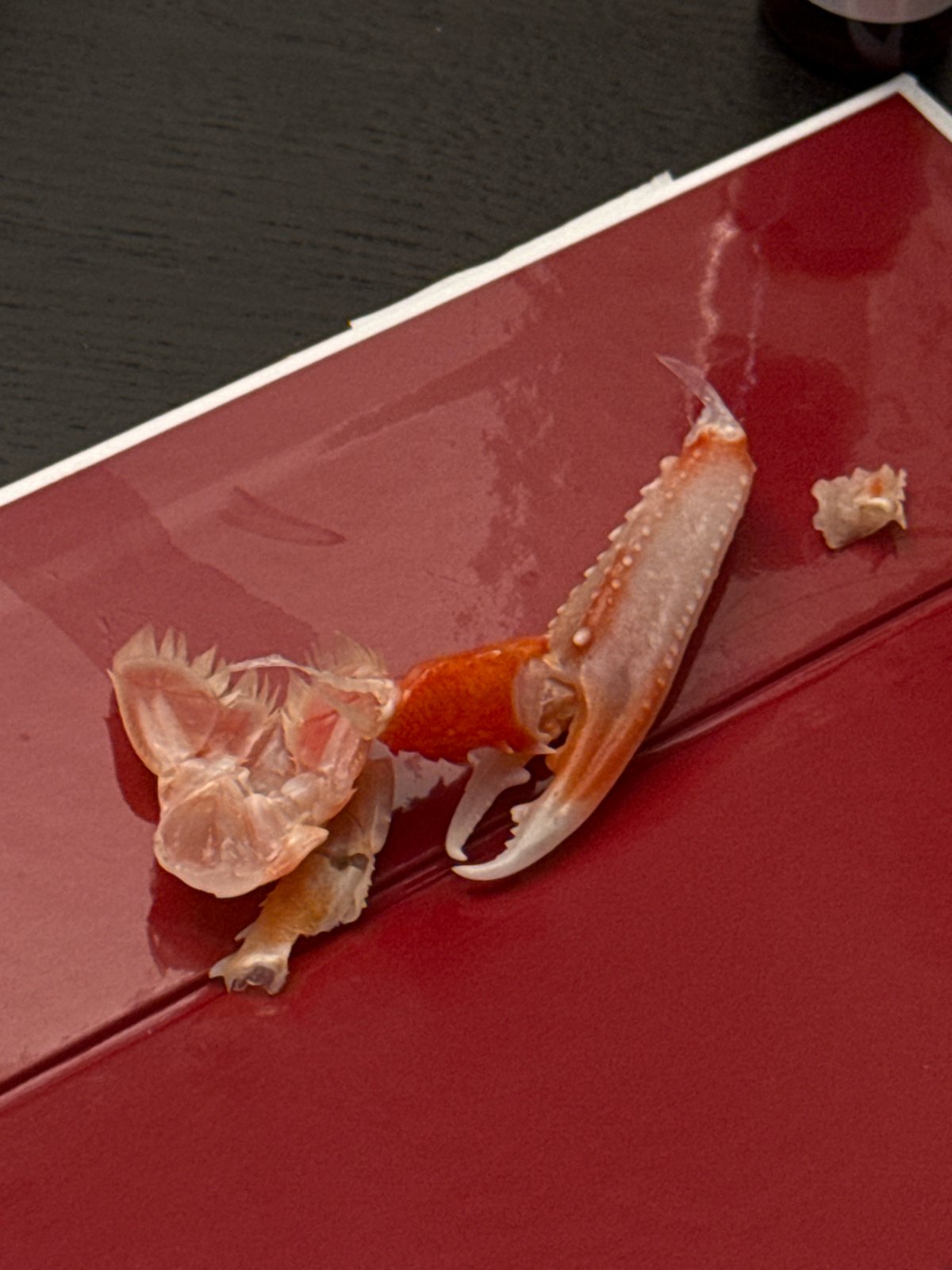 Milan customer receives premium IPPO sushi delivery order