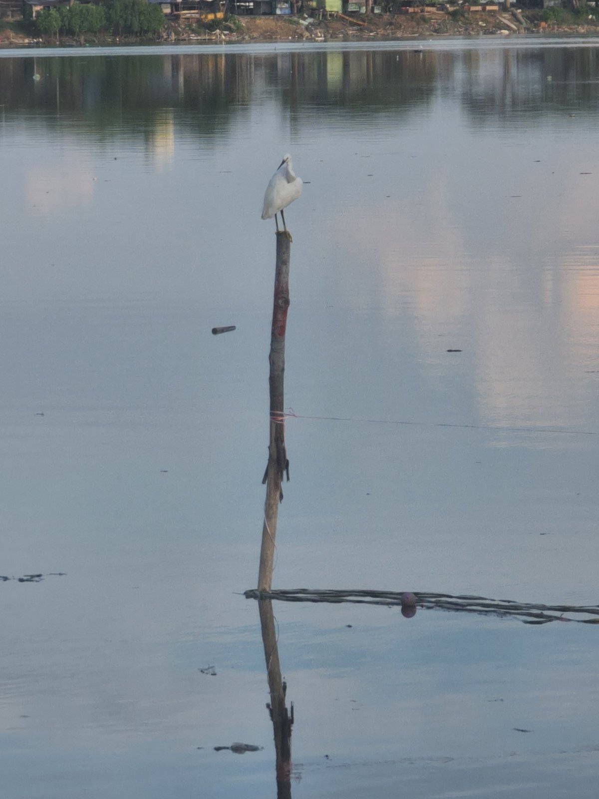 Wooden pole photographed over water in Lhokseumawe, Indonesia