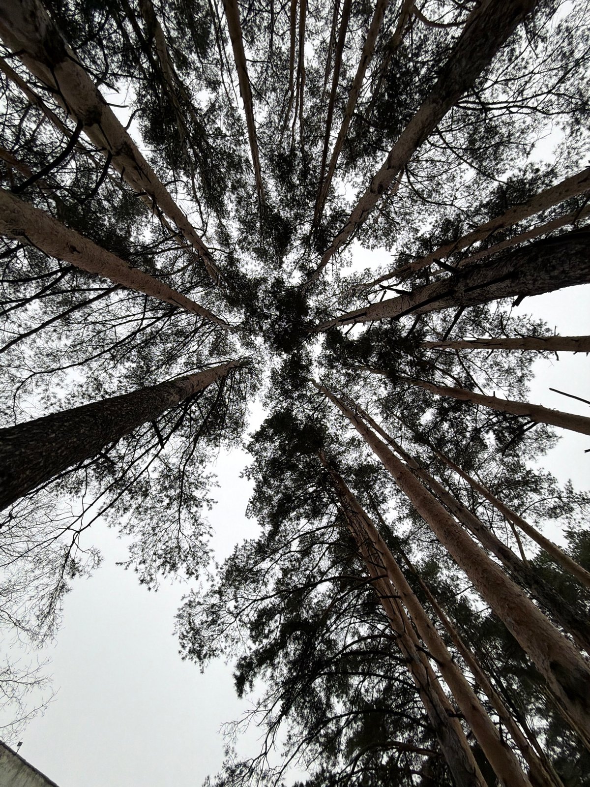 Early morning scenes documented across Chaikovsky, Russia