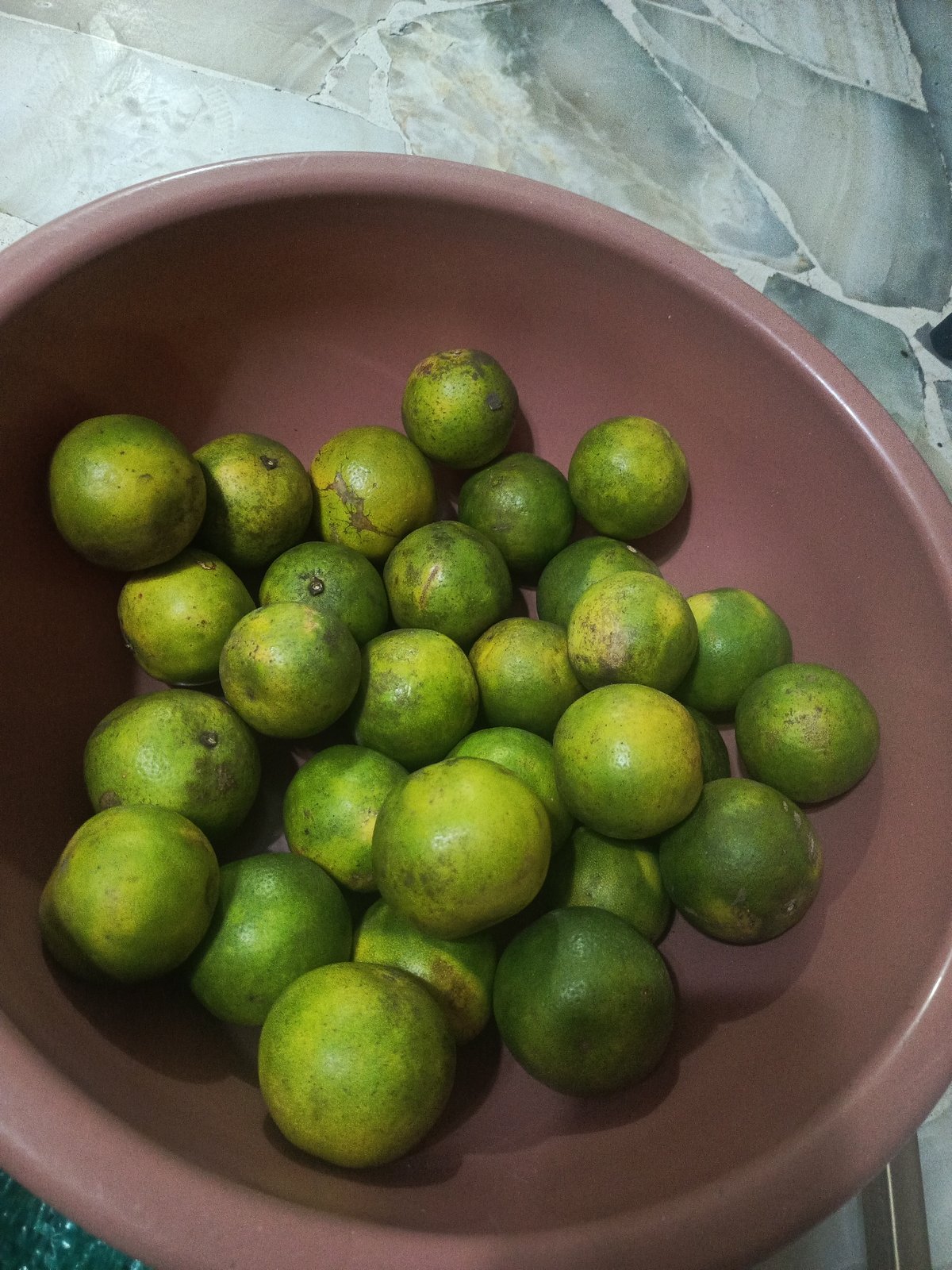 Food preparation items documented in Guayaquil kitchen scene