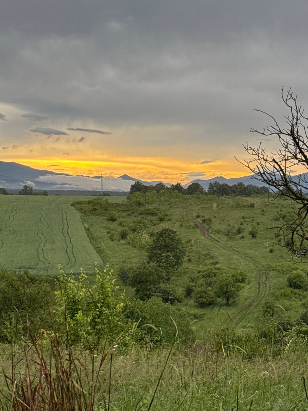 Dramatic storm clouds contrast golden light over rural landscape