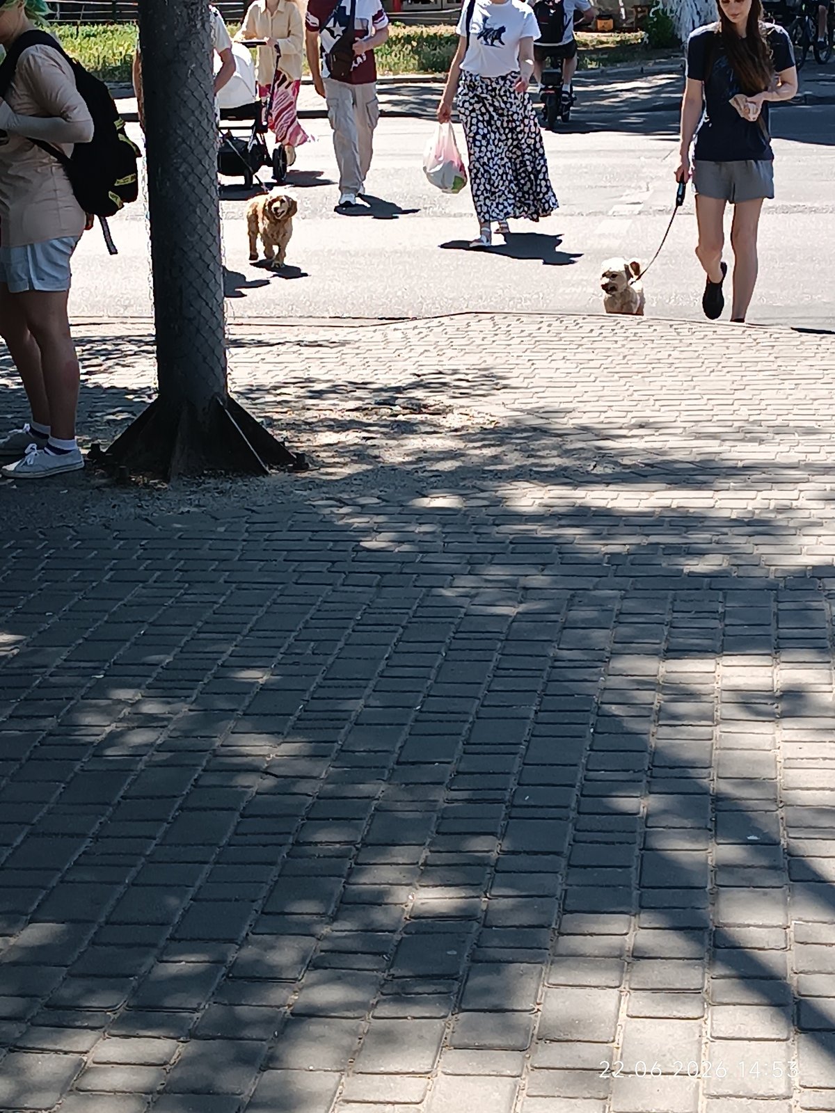 Sunny afternoon in an Odesa park and its surroundings