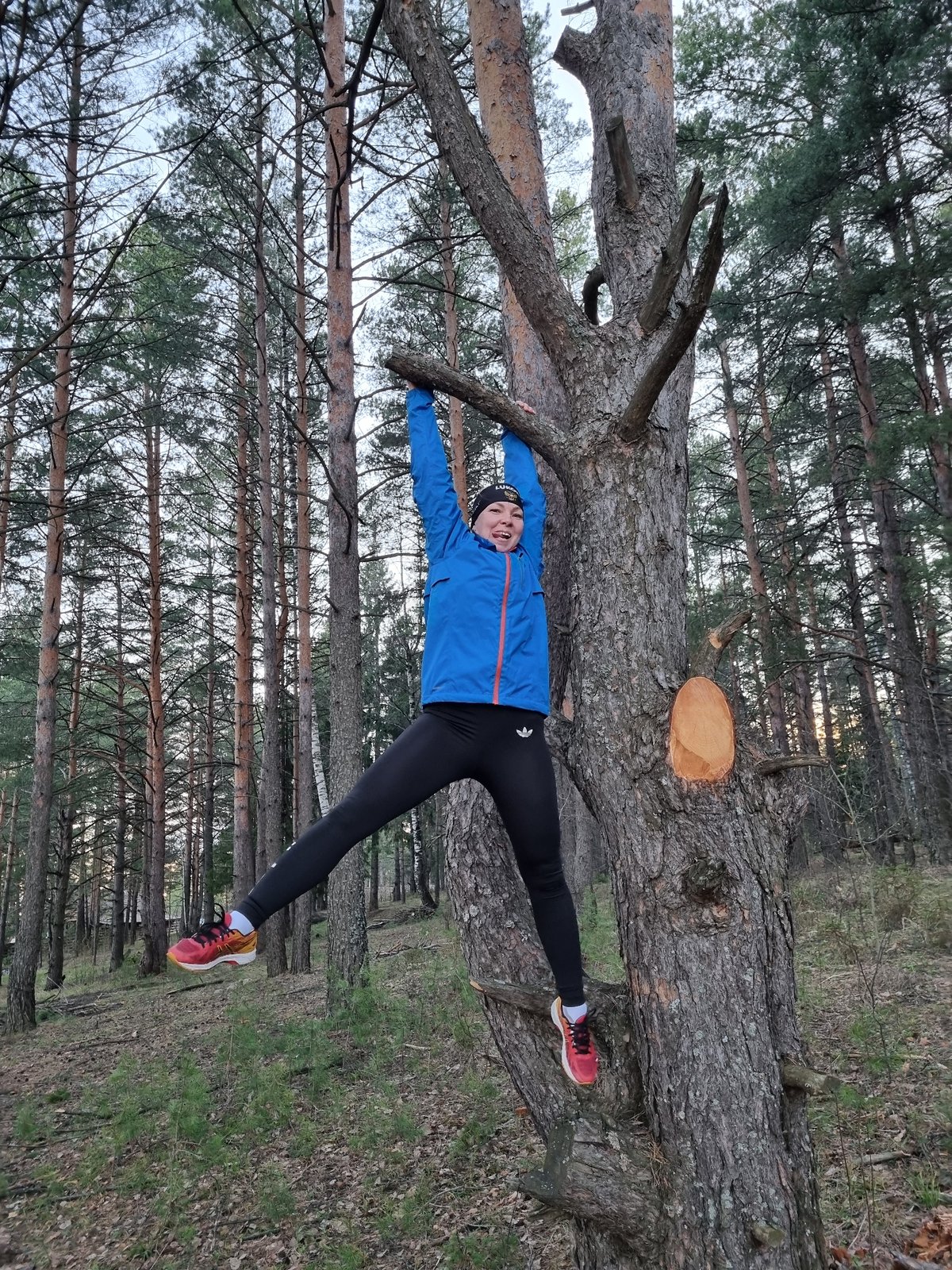 Forest outing documented in Прикамский, Russia spring afternoon