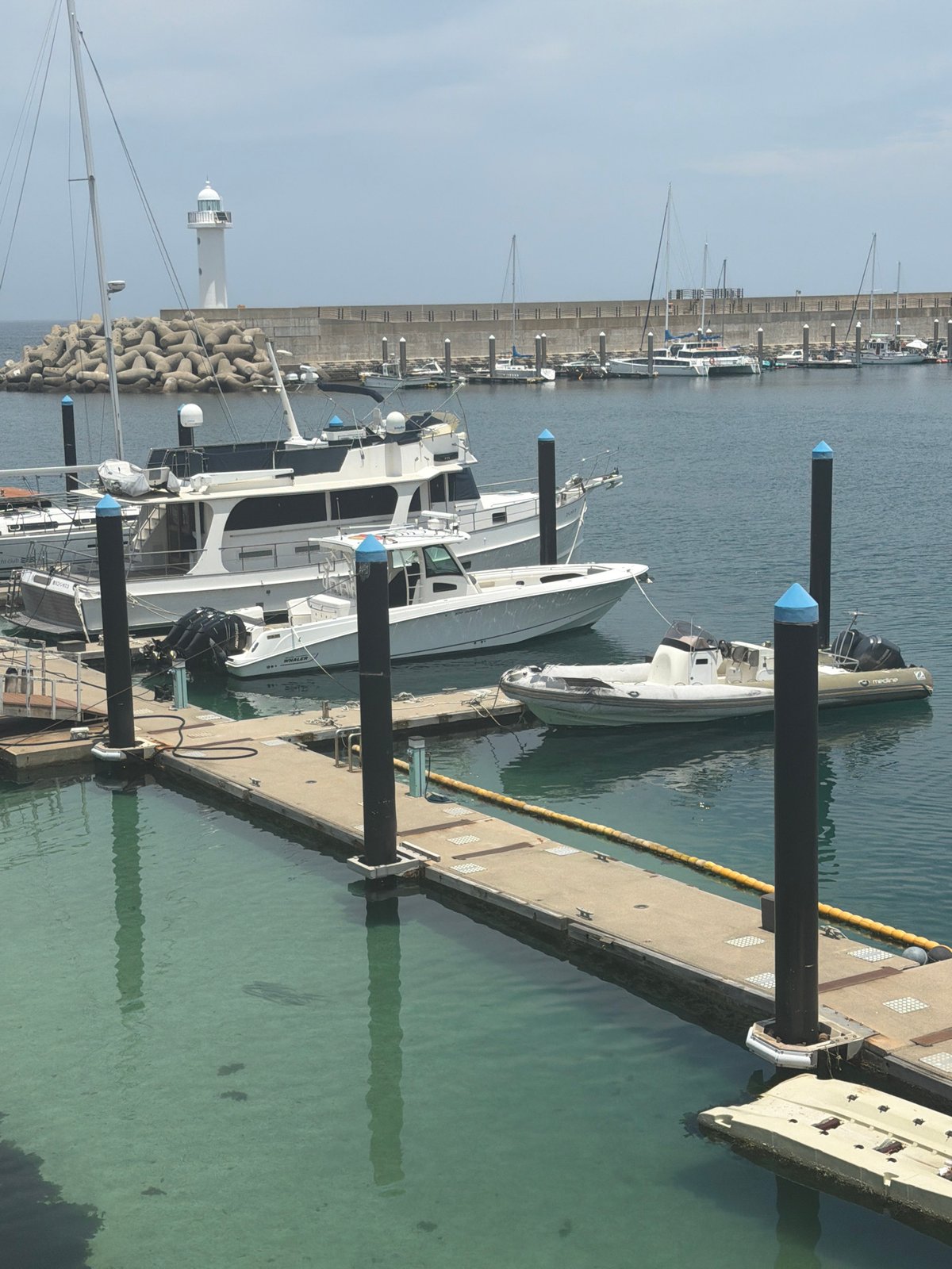 Jeju marina scene: boats, jet skis, and clear harbor water