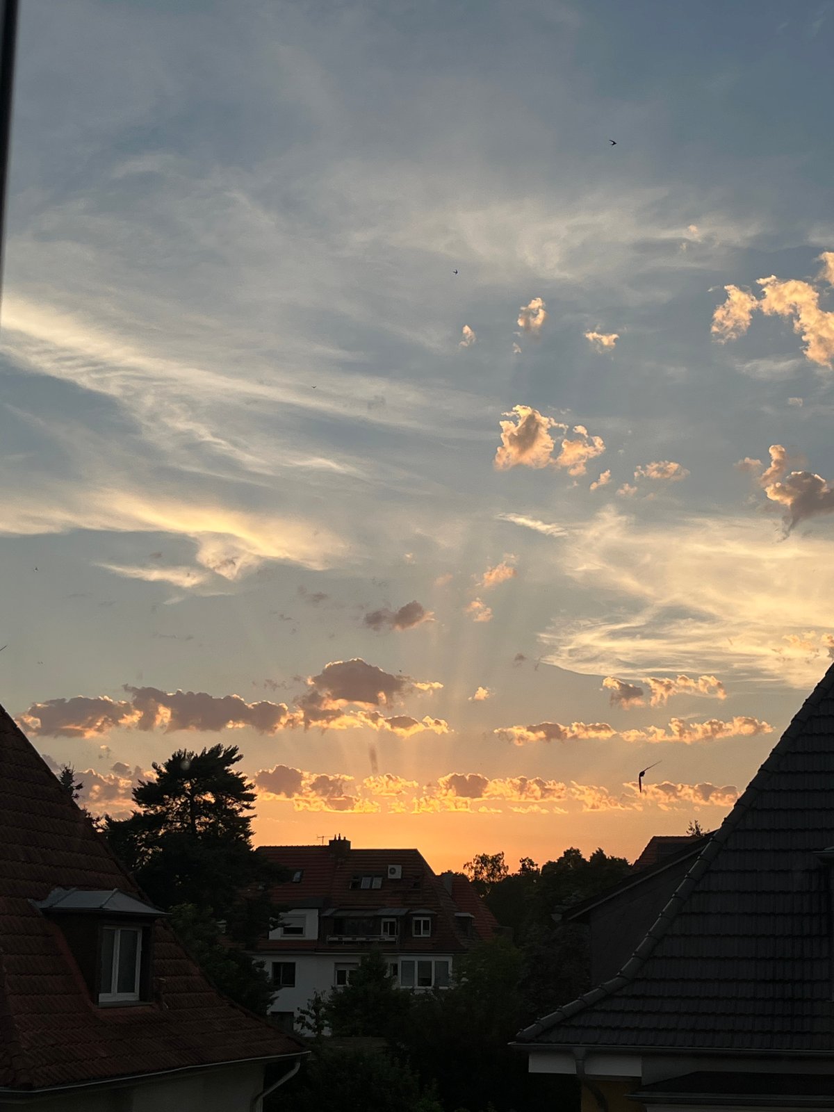 Golden sunset clouds over Saarbrücken rooftops, birds in flight